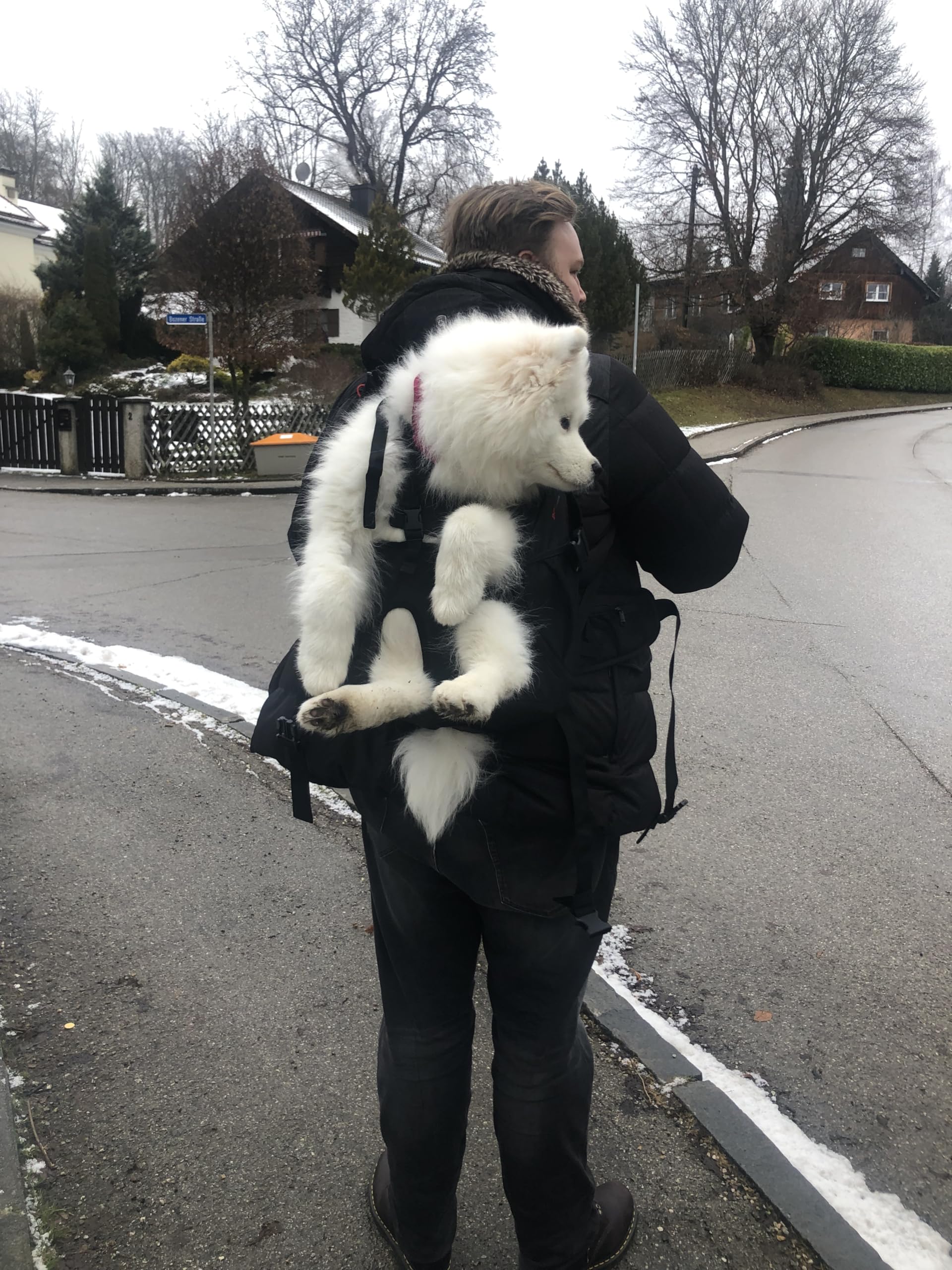 Patentierter Premium Leg Free Rucksack zum Tragen von Hunden Hunderucksack Hundetrage Hundetragerucksack für Hunde