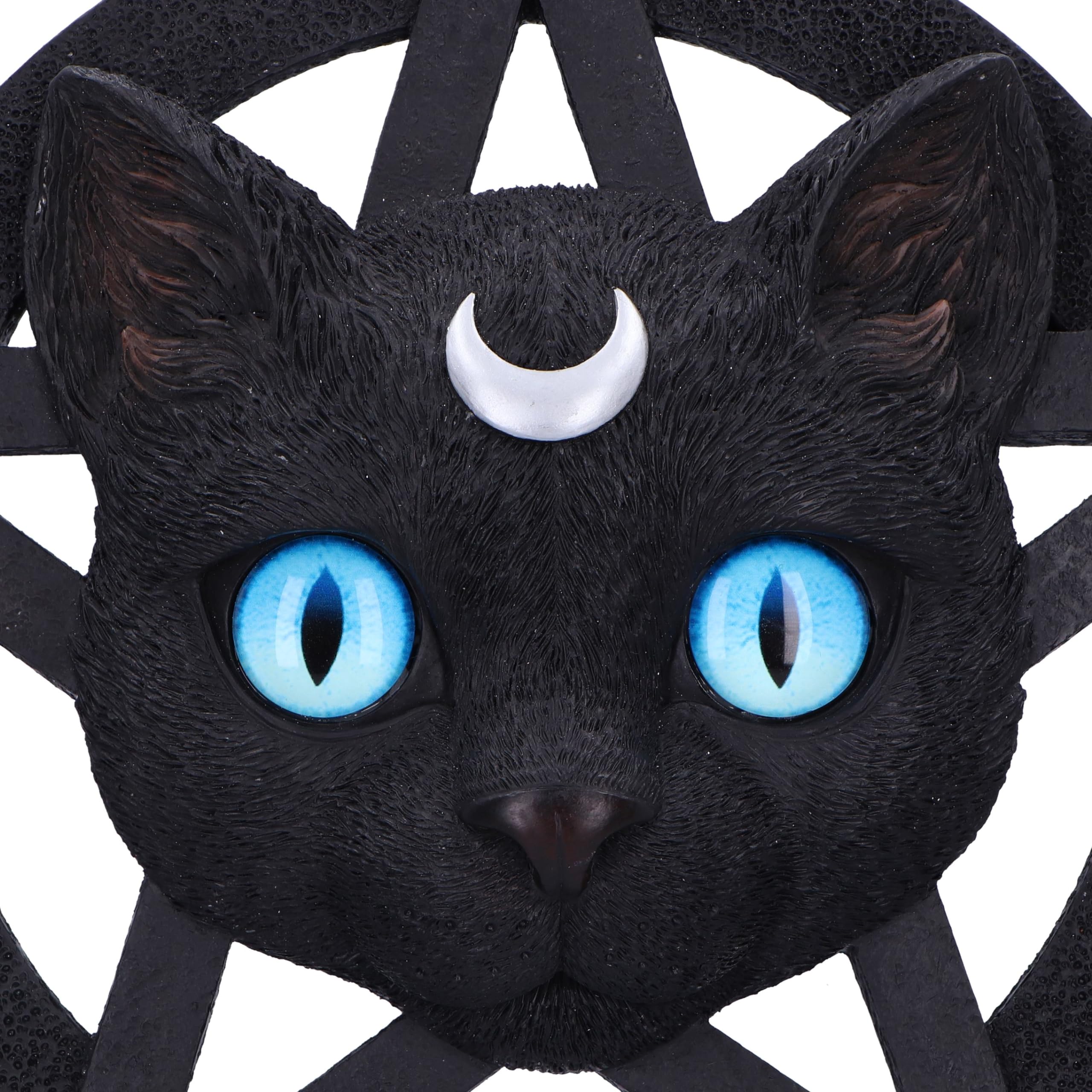 Nemesis Now Feline Worship Wall Plaque 25.5cm, Resin, Black, Cat Pentagram Hanging Wall Art - Image 2