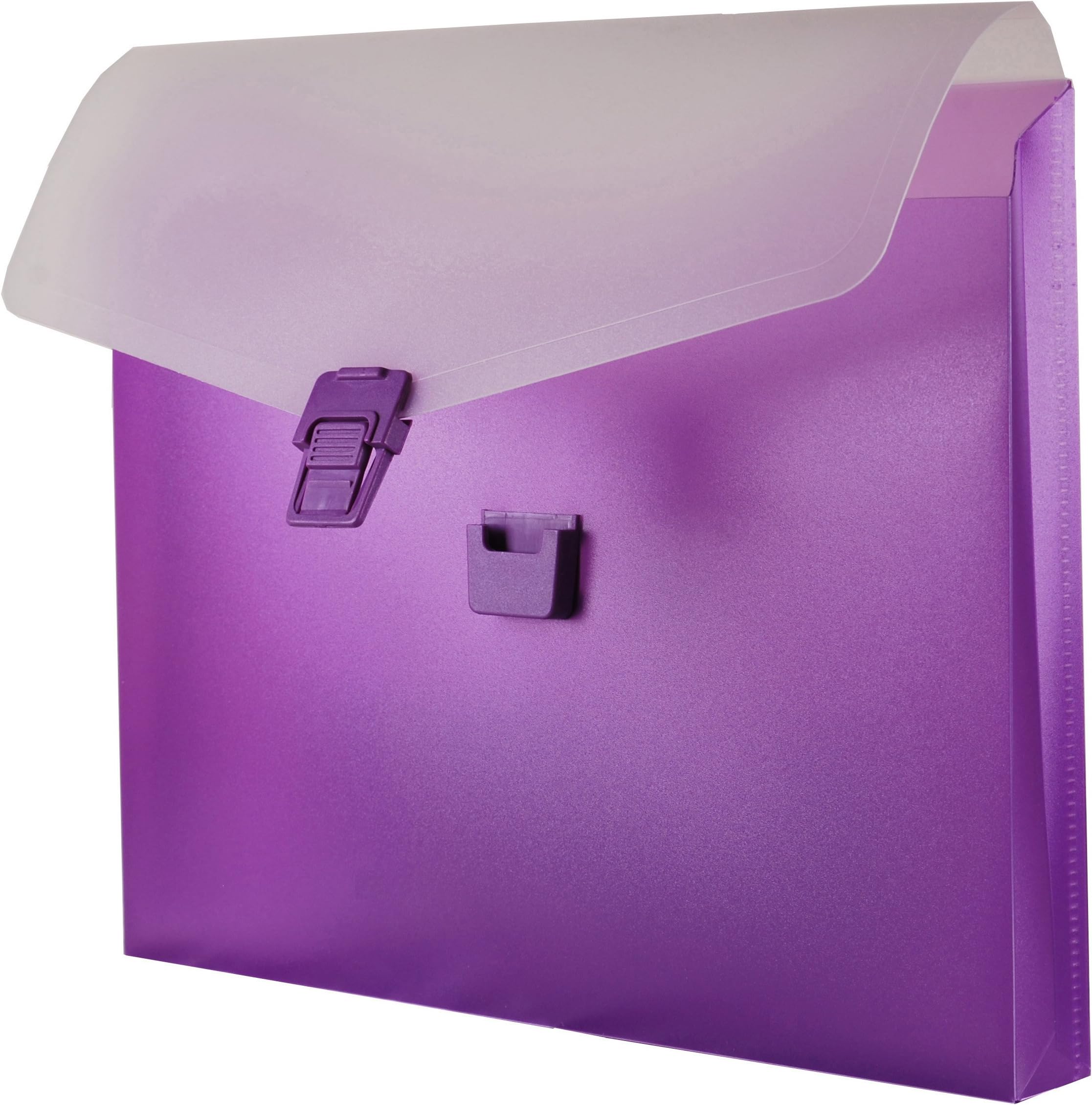 Filexec Products My 2x2 Portfolio, Polypropylene, Buckle Closure, Grape (50400-35924)
