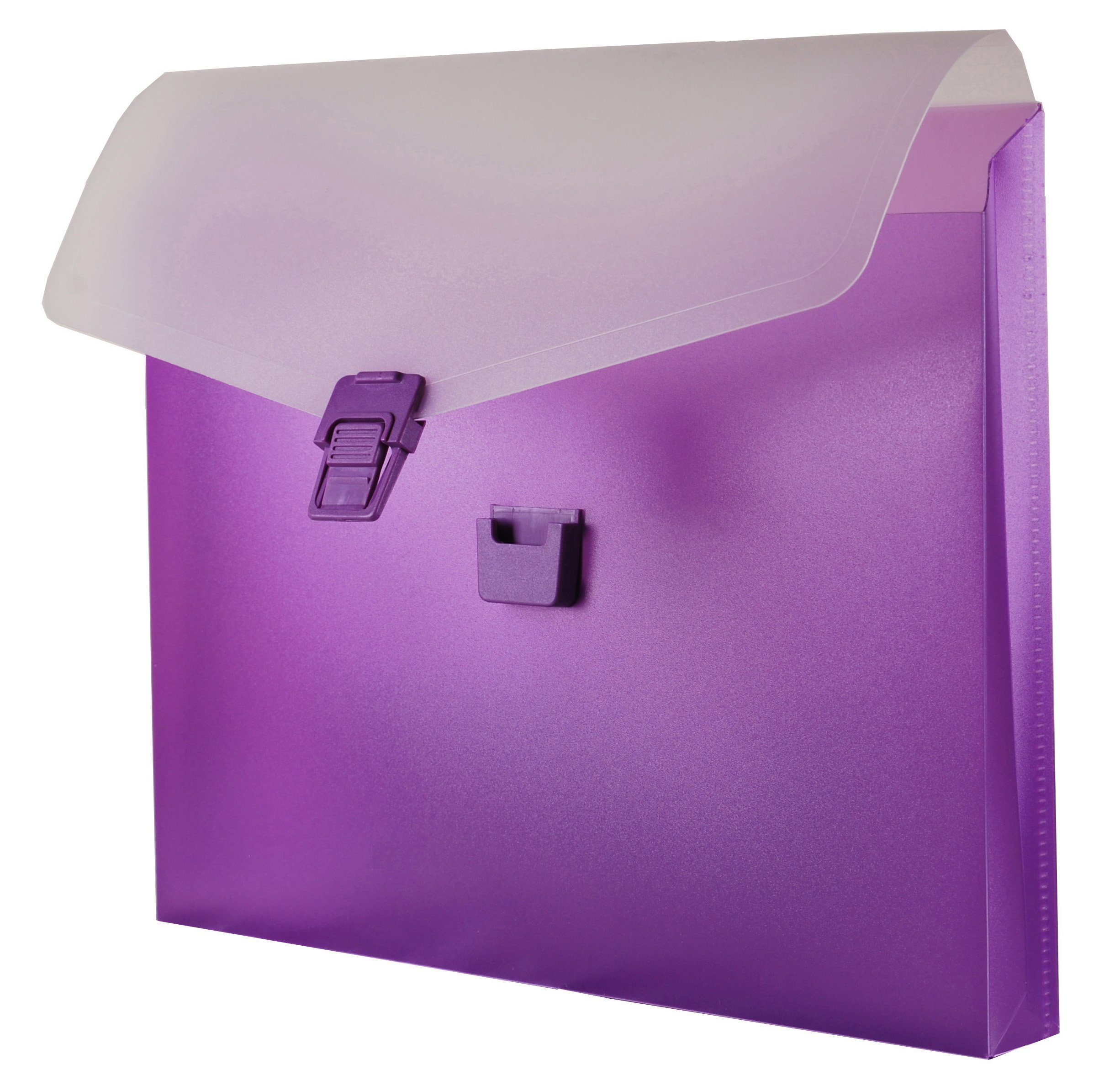 Filexec Products My 2x2 Portfolio, Polypropylene, Buckle Closure, Grape (50400-35924)