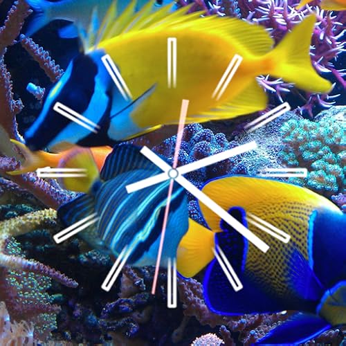 7 Best Aquarium Screensavers 2024 There's One Clear Winner