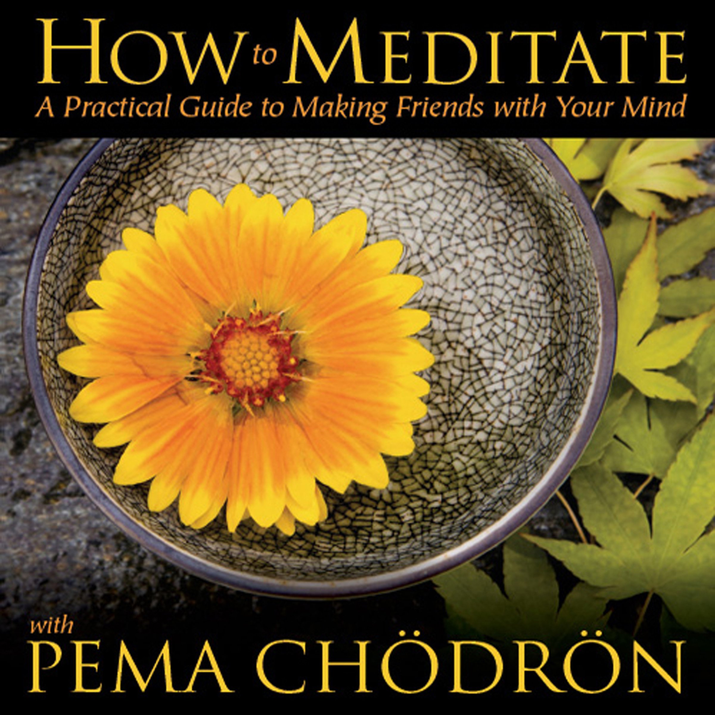 Cover art for How to Meditate with Pema Ch&ouml;dr&ouml;n