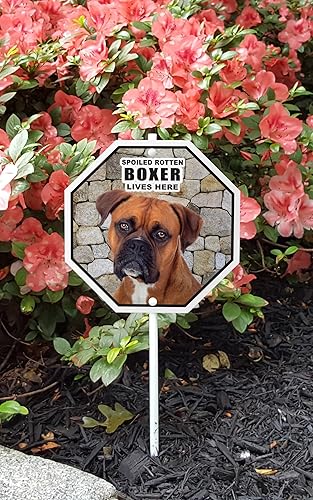 Imagine This Cartel de jardín Spoiled Rottens Boxer Lives Here