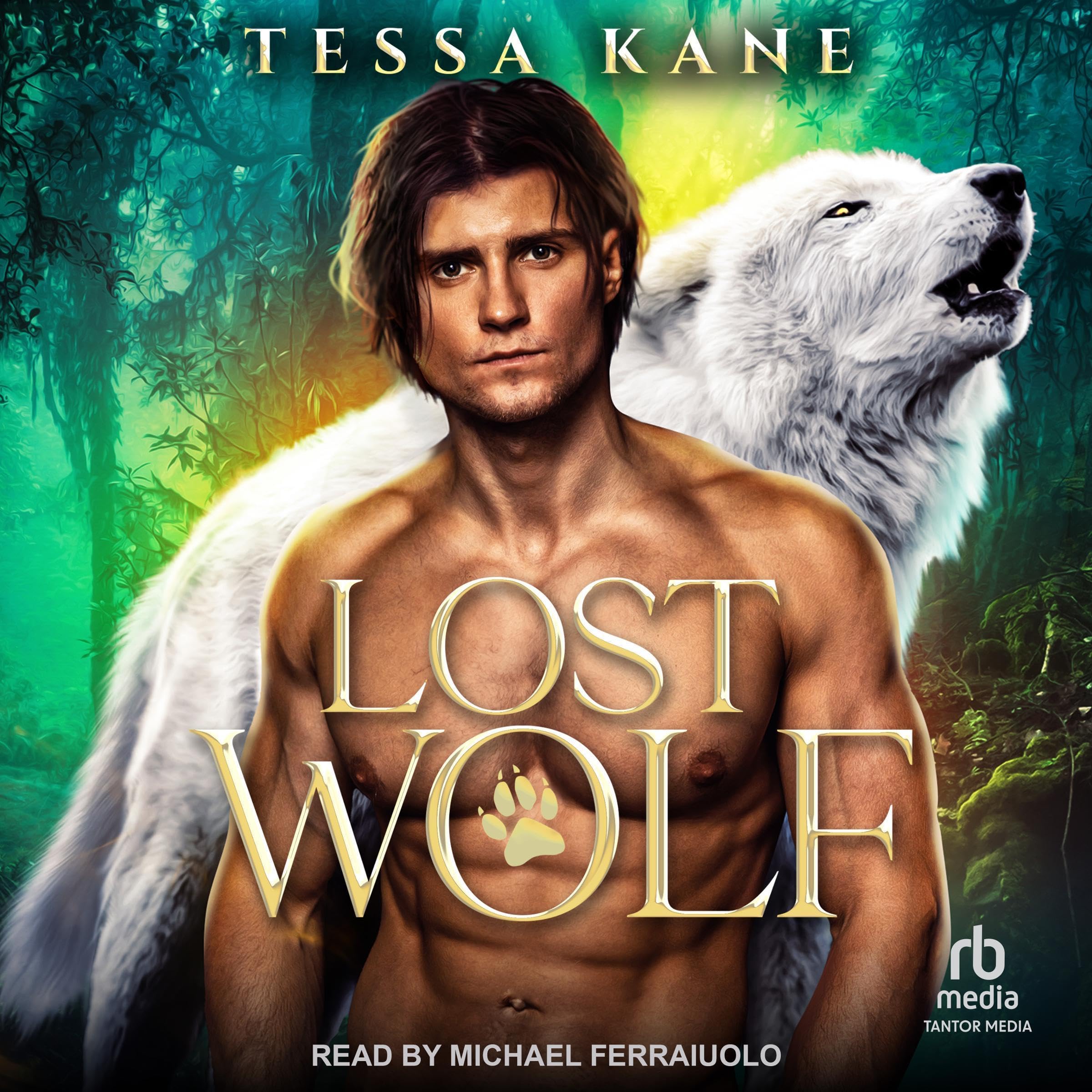 Cover art for Lost Wolf
