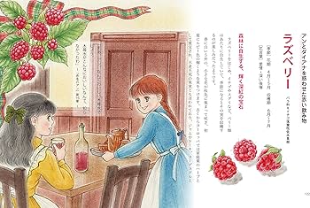 リリー様　赤毛のアンセット 91V4OIg7ScL._AC_UF350,