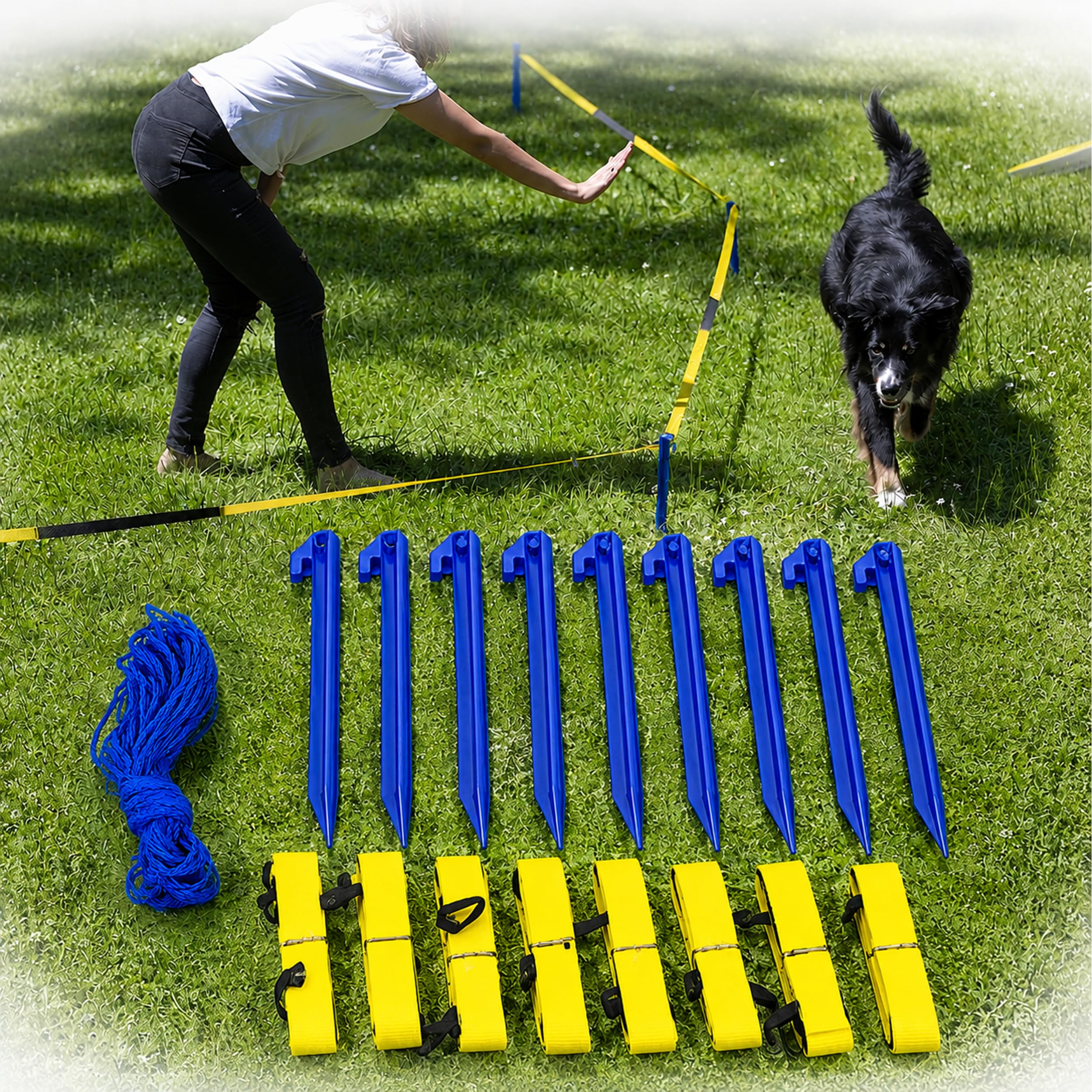Longier-Set für Hunde, Radius 3-3,5m, Hundetraining, Longieren mit Hund