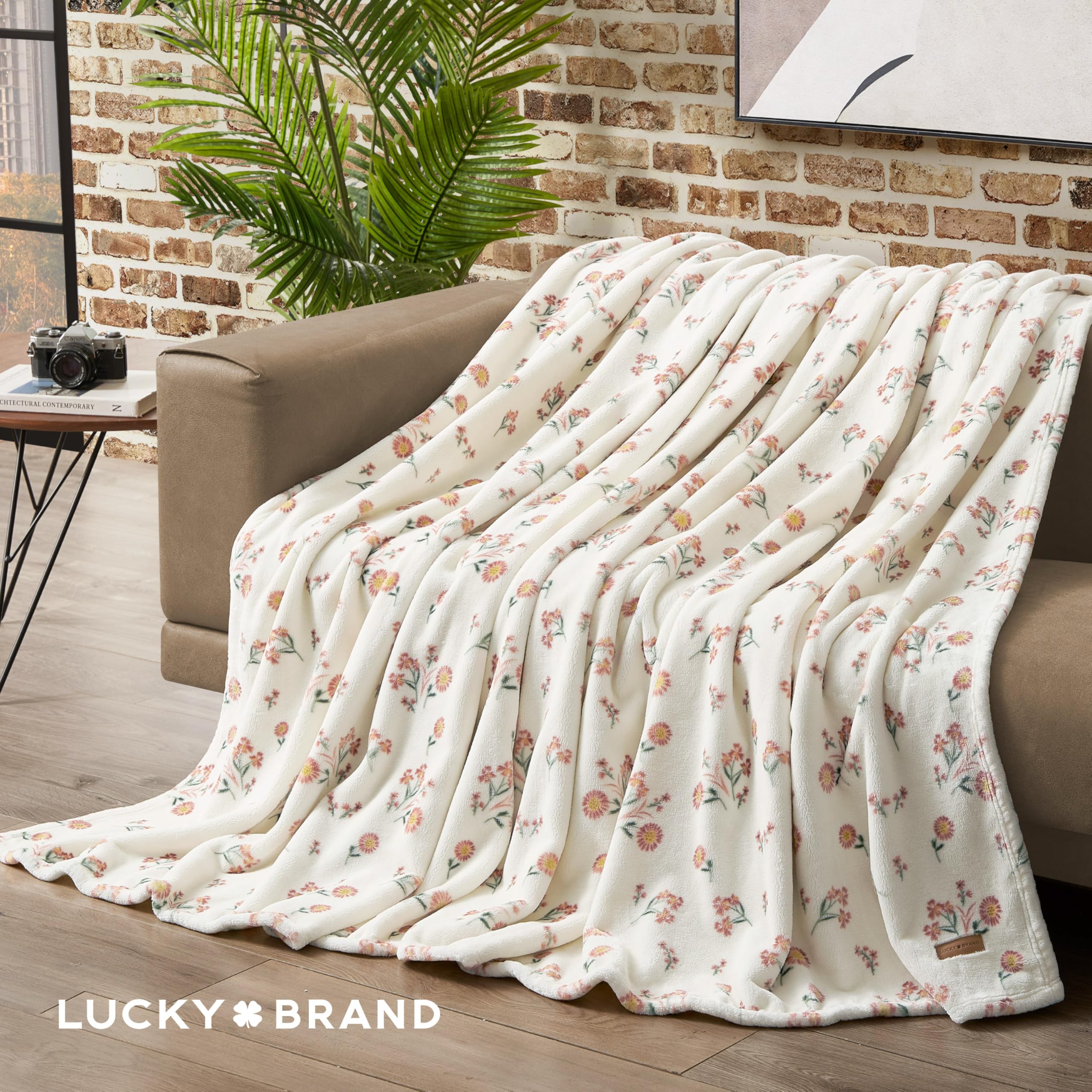 Amazon.com: Lucky Brand Daisy Ivory Floral 90