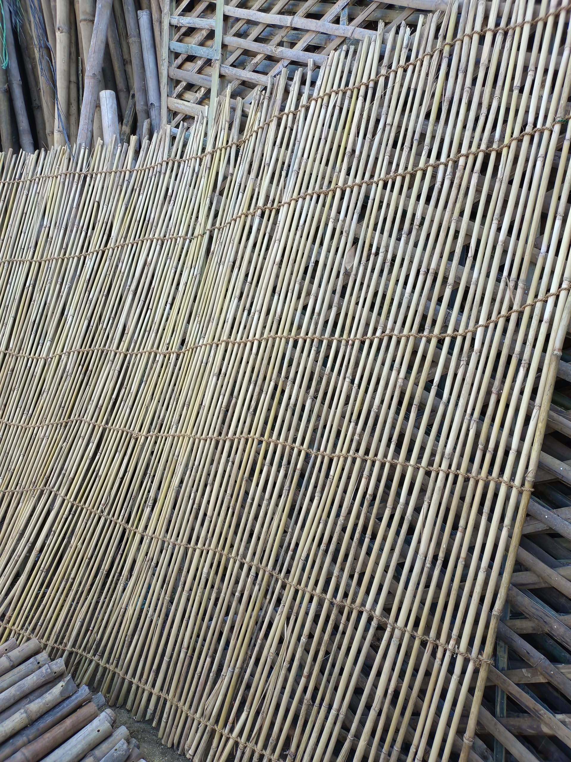 6.5ft x 15ft Jumbo Reed Fence Roll — Standing Privacy Screen for Outdoor Living Spaces