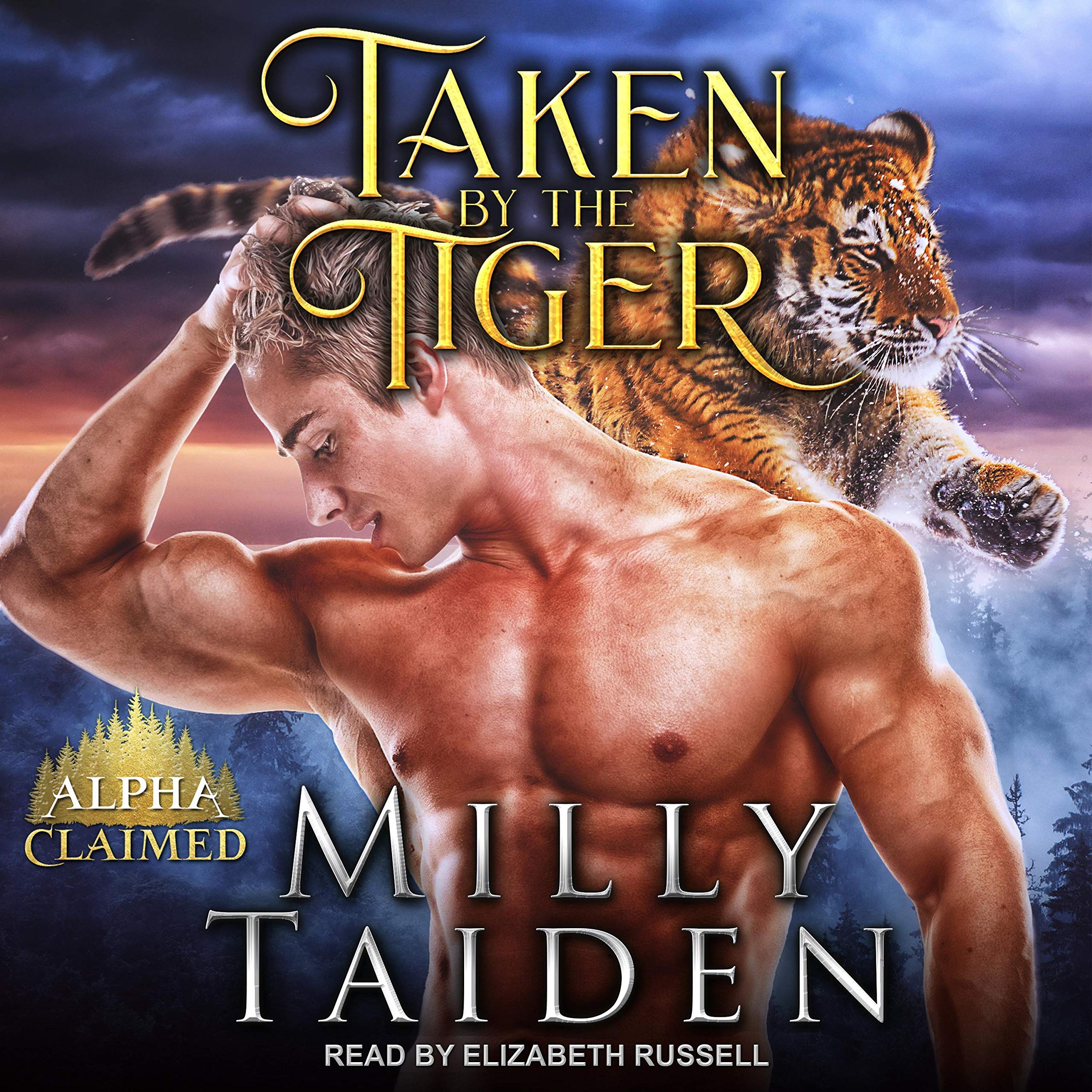 Cover art for Taken by the Tiger