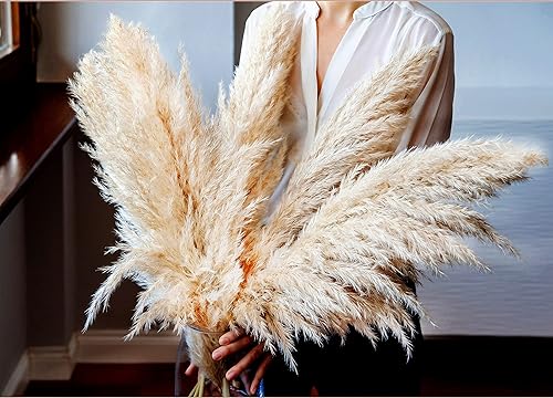 AlobyC Decoración de hierba de las pampas alta, (6 piezas). Hierba seca de las pampas de 48 pulgadas (47.2 in) (4 pies) extra grande, decoración