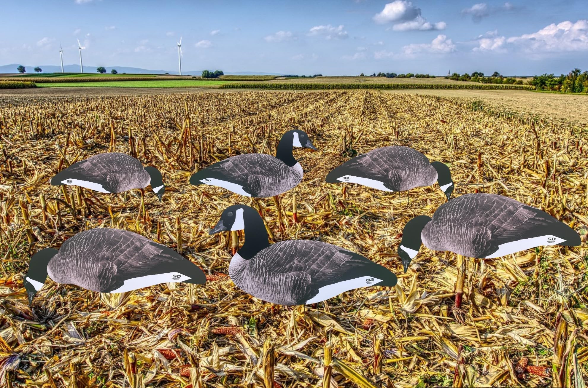 Snow Down Decoys Canada Goose Silhouette Decoys. Canda Goose Silhouette Decoys with Flocked Heads and Metal Stakes. 12 Pack, Blue