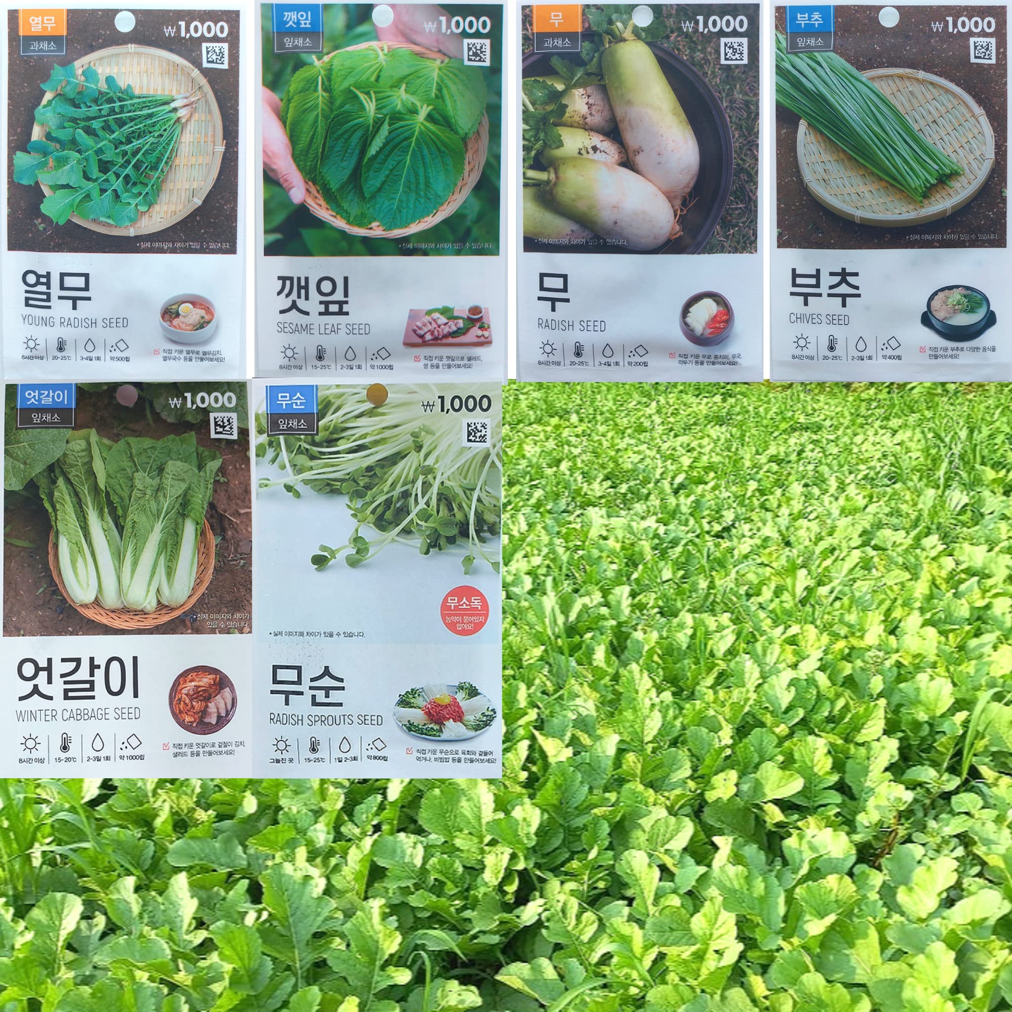 Buy 2022 Korean Vegetables , Assorted Ssamchoo, Chives, Sesame Leaf