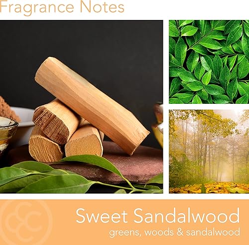 Miniatura 2 de Colonial Candle M. Baker Collection - Vela perfumada en tarro de sándalo dulce, 2 mechas, gris, 14 onzas, hasta 60 horas de combustión