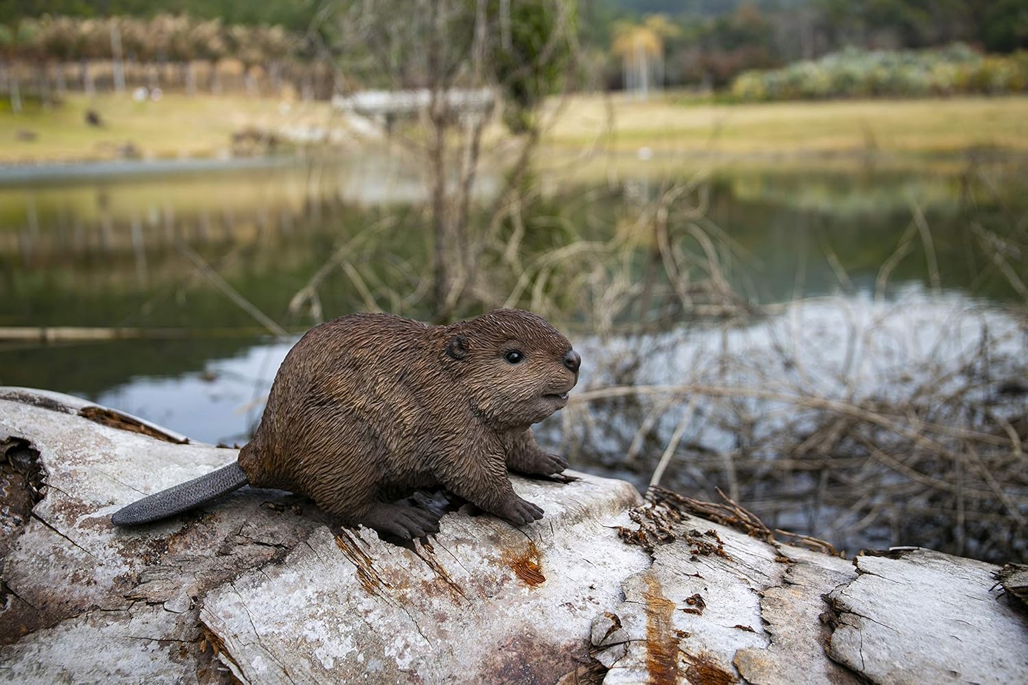 Hi-Line Gift American Beaver CUB Statue, Brown