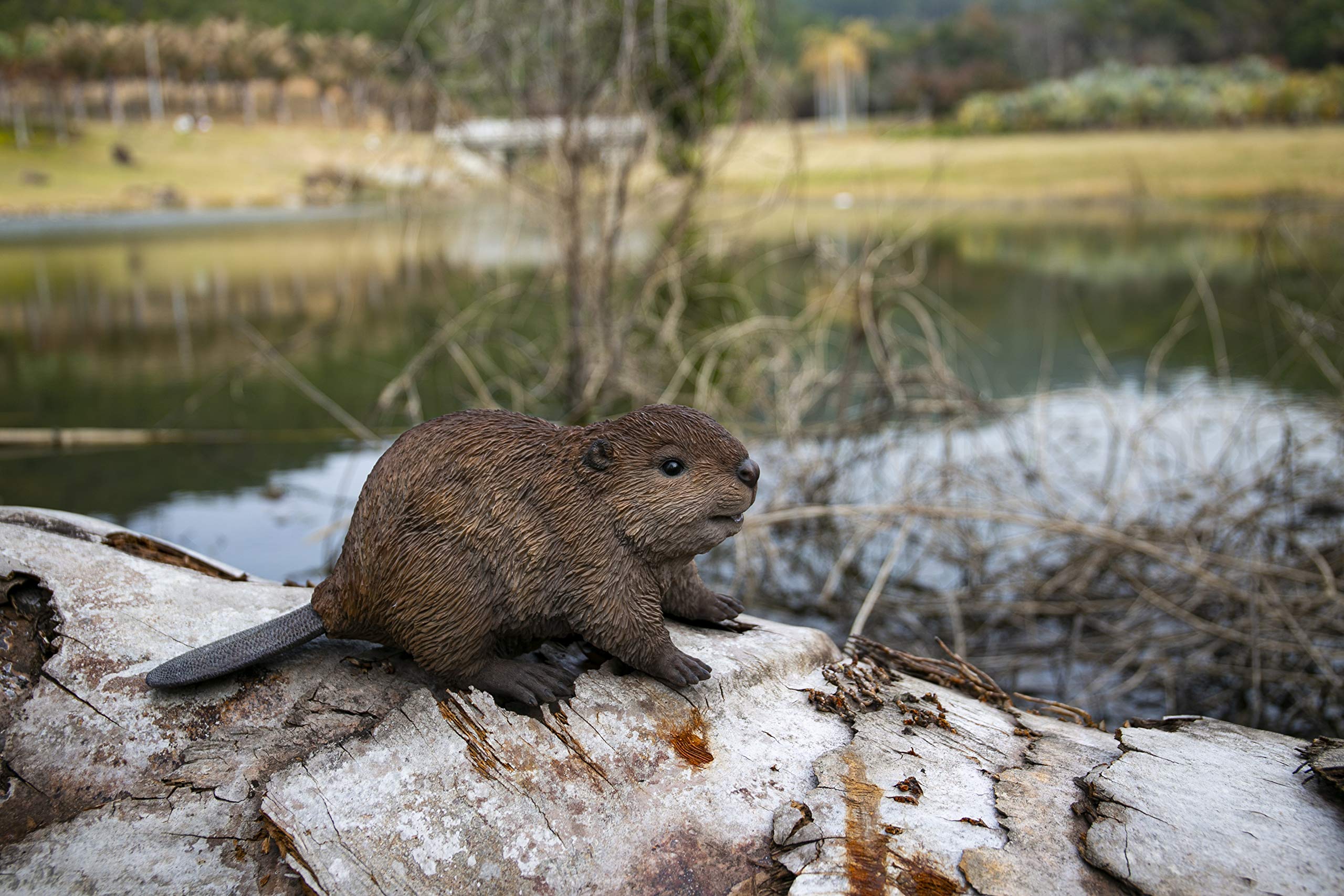 Hi-Line Gift American Beaver CUB Statue, Brown