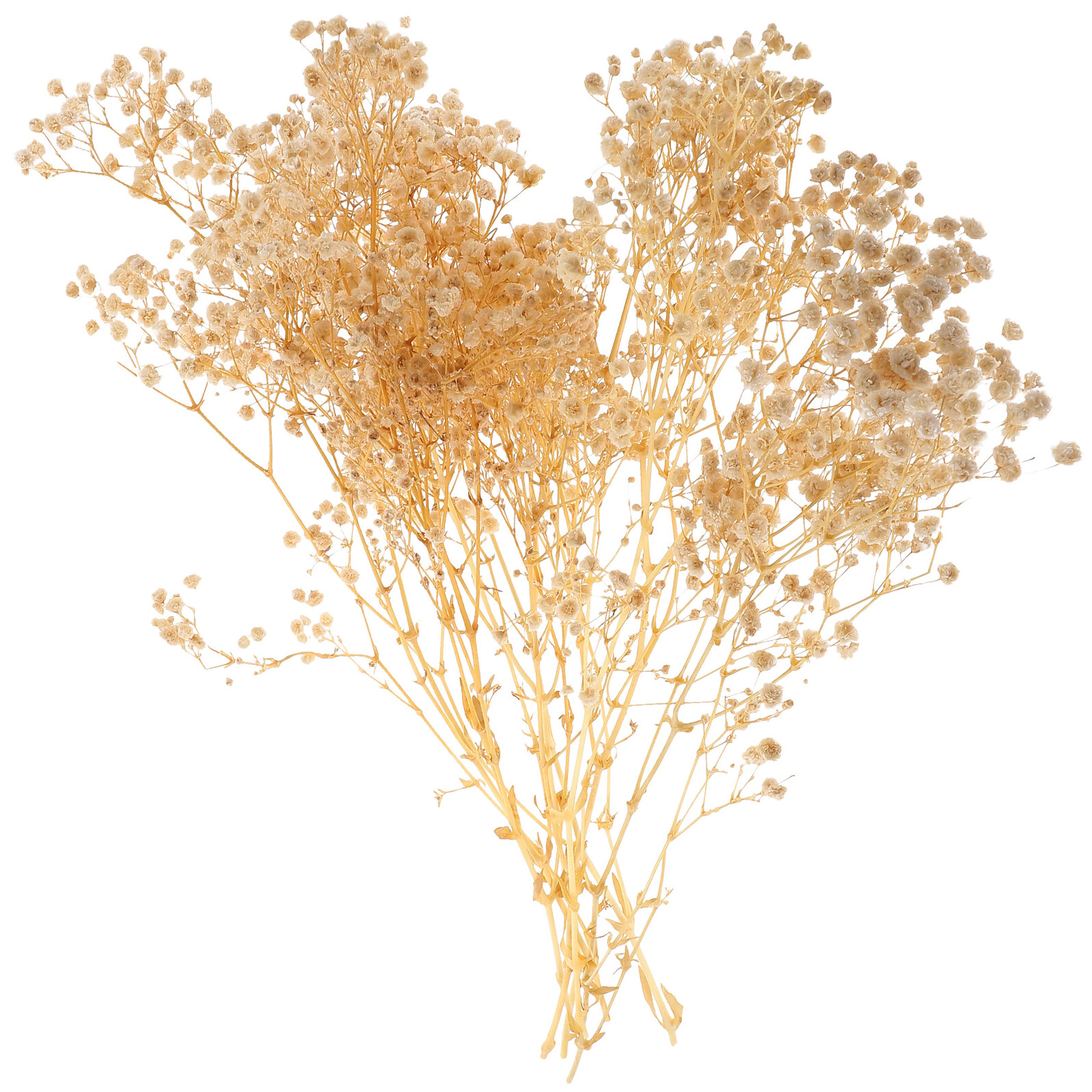 Ramo de flores secas Gypsophila blanco DOITOOL miniatura 7