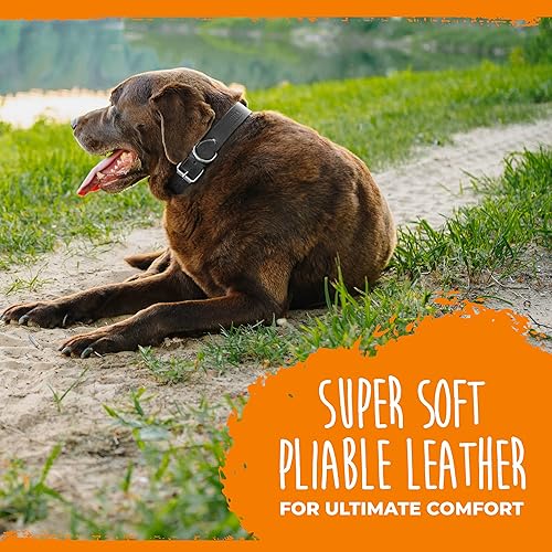 Miniatura 4 de Mighty Paw Collar de cuero para perro, cuero genuino envejecido, collar de cuero real, hebilla de metal fuerte, máxima comodidad, collar de estilo