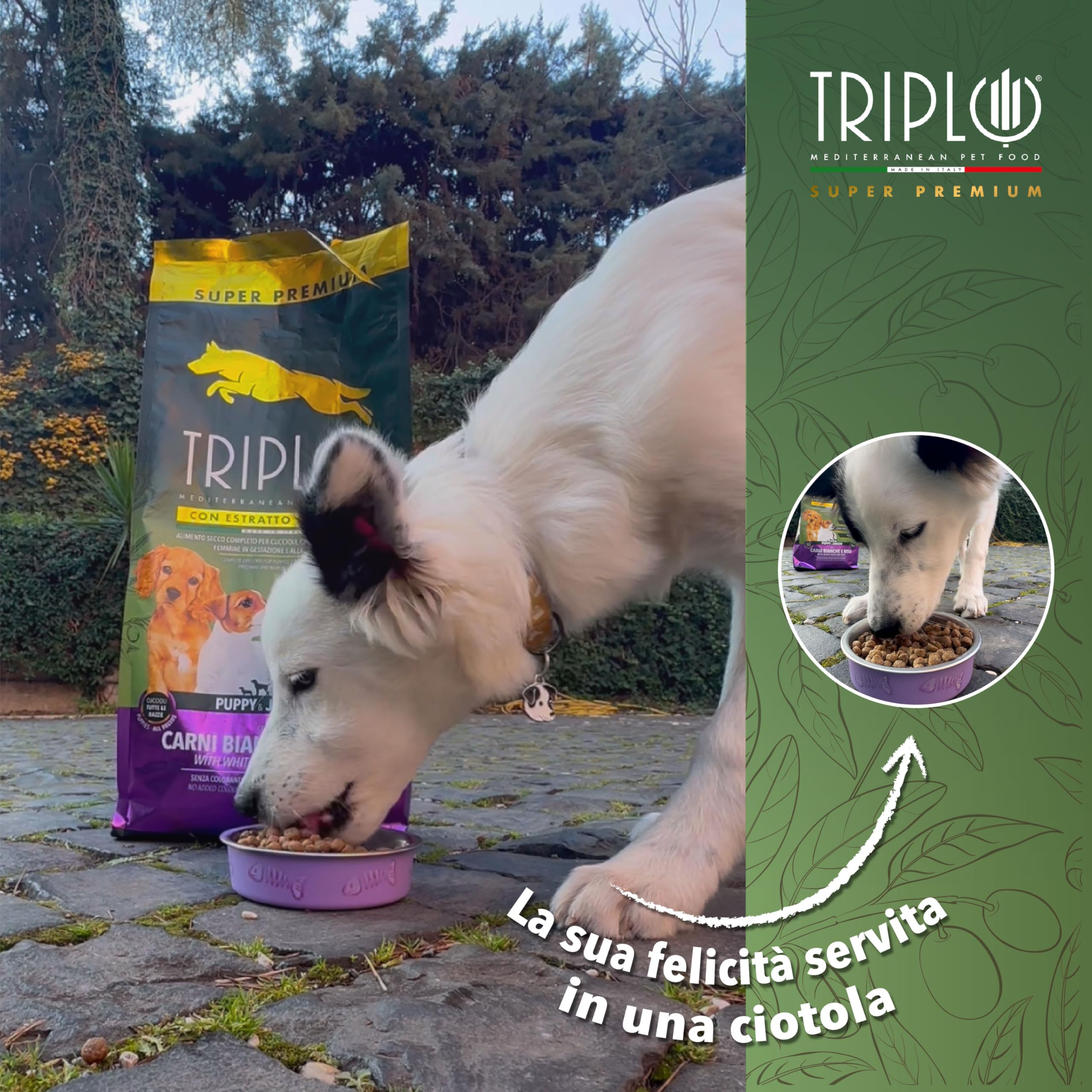 TerComposti - Triplo Pet Food Tonno e Riso 3kg x4, Ideale per Adulti di Tutte le Razze, Pelo Lucido e Folto, Crocchette Cani con Estratto di Olivo, Cibo per Cani Secco Nutriente e Bilanciato