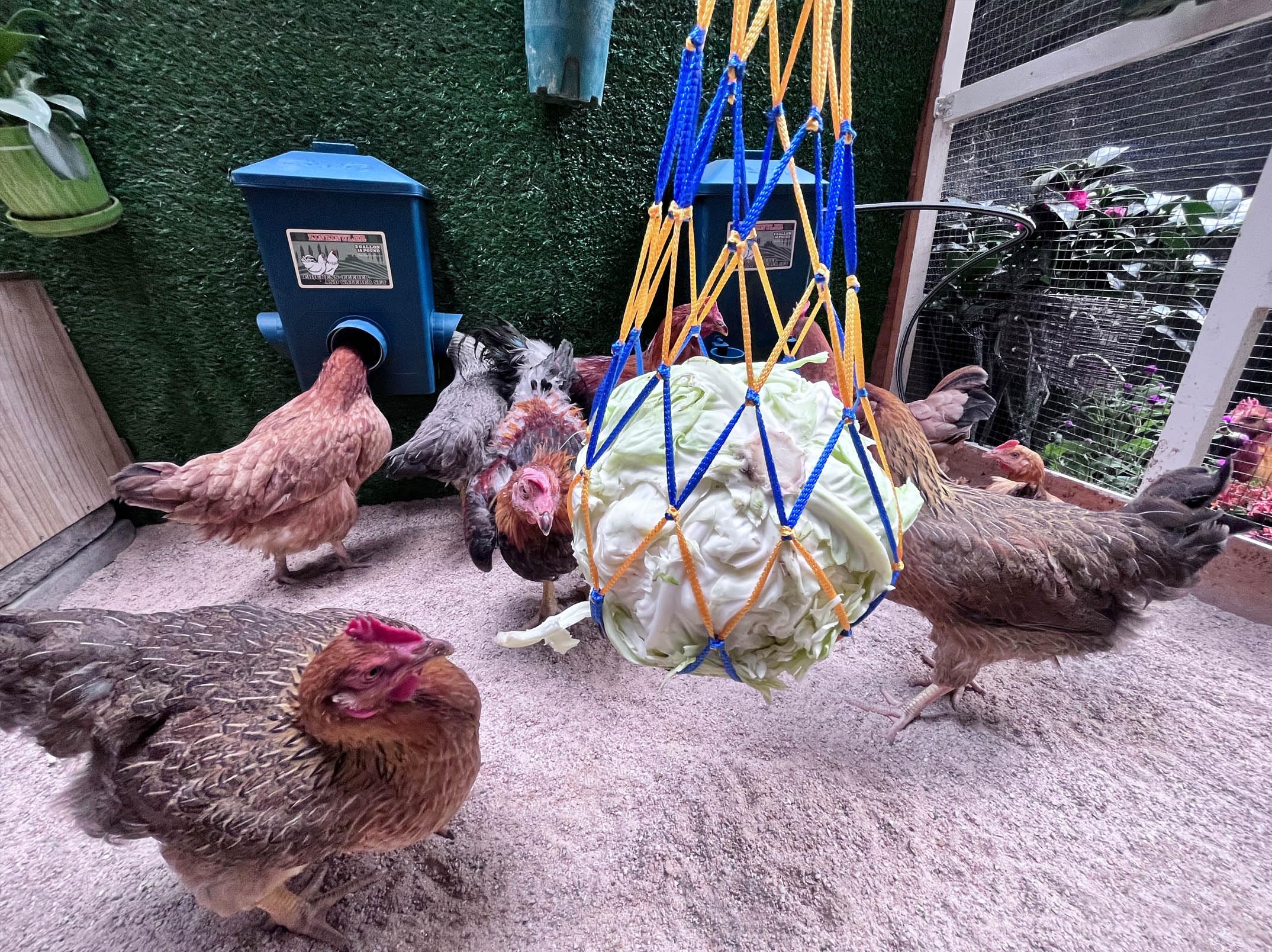Comedero de pollo, bebedero de pollo con juego automático controlado por flotador (4 galones/28 libras), accesorios para gallineros (compatible con tuberías de agua de 5/8 pulgadas y 3/4 pulgadas