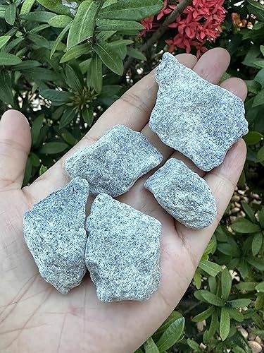 Vista 84 de GAF TREASURES Cristales de rosa del desierto crudos al por mayor, piedra natural de rosa del desierto, cristales naturales de rosa del desierto