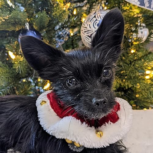 Miniatura 8 de Huxley & Kent Ruff Coletero para mascotas, prenda para el cuello de Navidad y festiva para perro o gato, divertido accesorio elástico para disfraz,