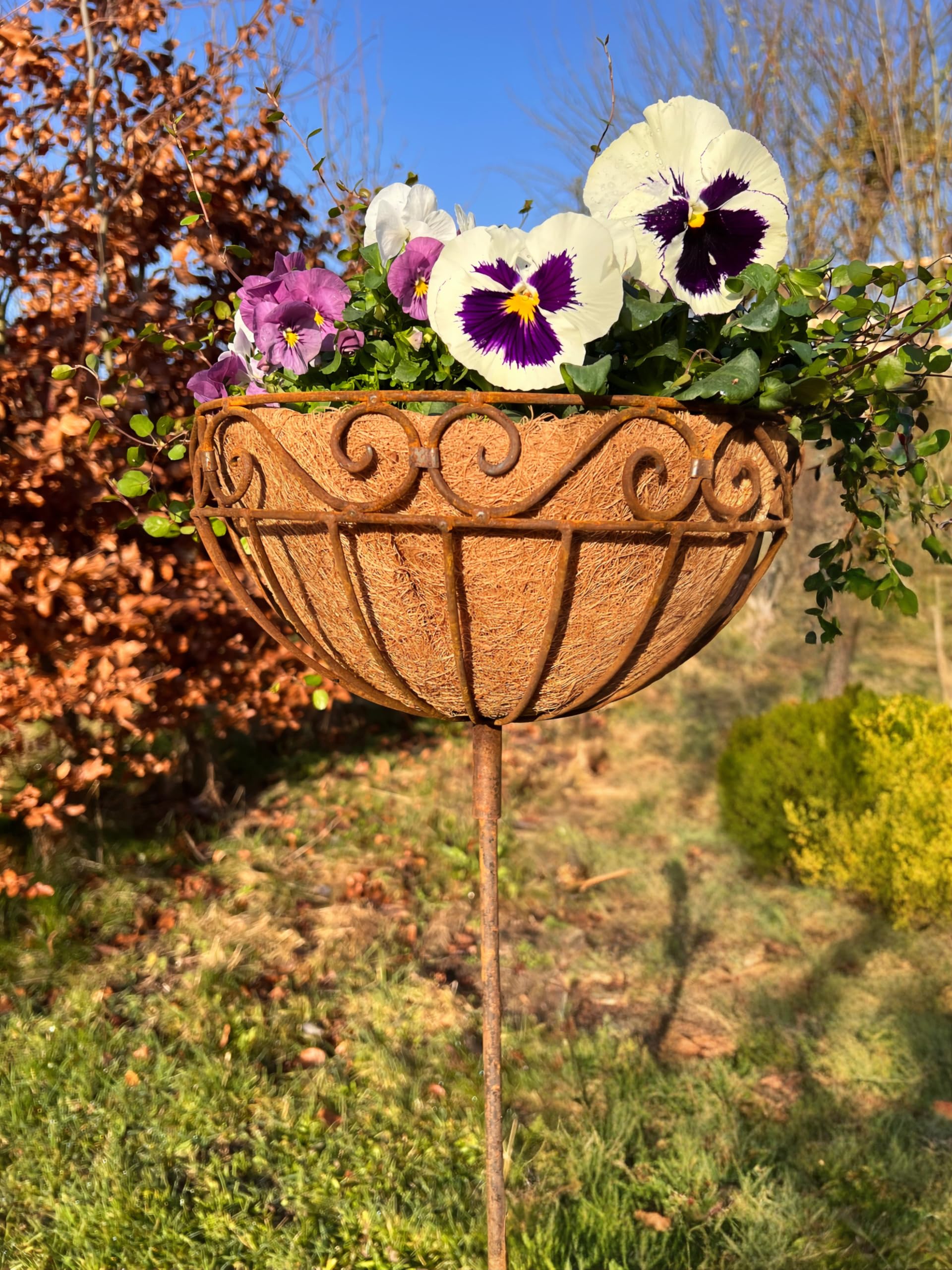 ecosoul Pflanzschale Pflanzkorb Blumenschale auf Stab Blumentopfstnder  Pflanzgef rund Metall Eisen verrostet mit 3 Spieen 116cm hoch 30cm ...