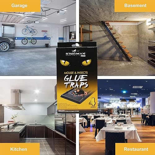 Miniatura 6 de KINGMAN PRIME Trampa pequeña para ratones con pegamento (4 trampas) para roedores, fácil y no tóxica