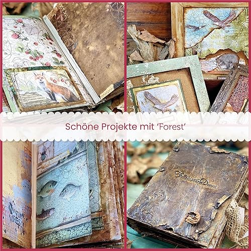 Miniatura 7 de STAMPERIA INTERNATIONAL, KFT PAPEL PAD 8X8 10PK FOREST, 20.3 x 20.3 (8" x 8"), multicolor