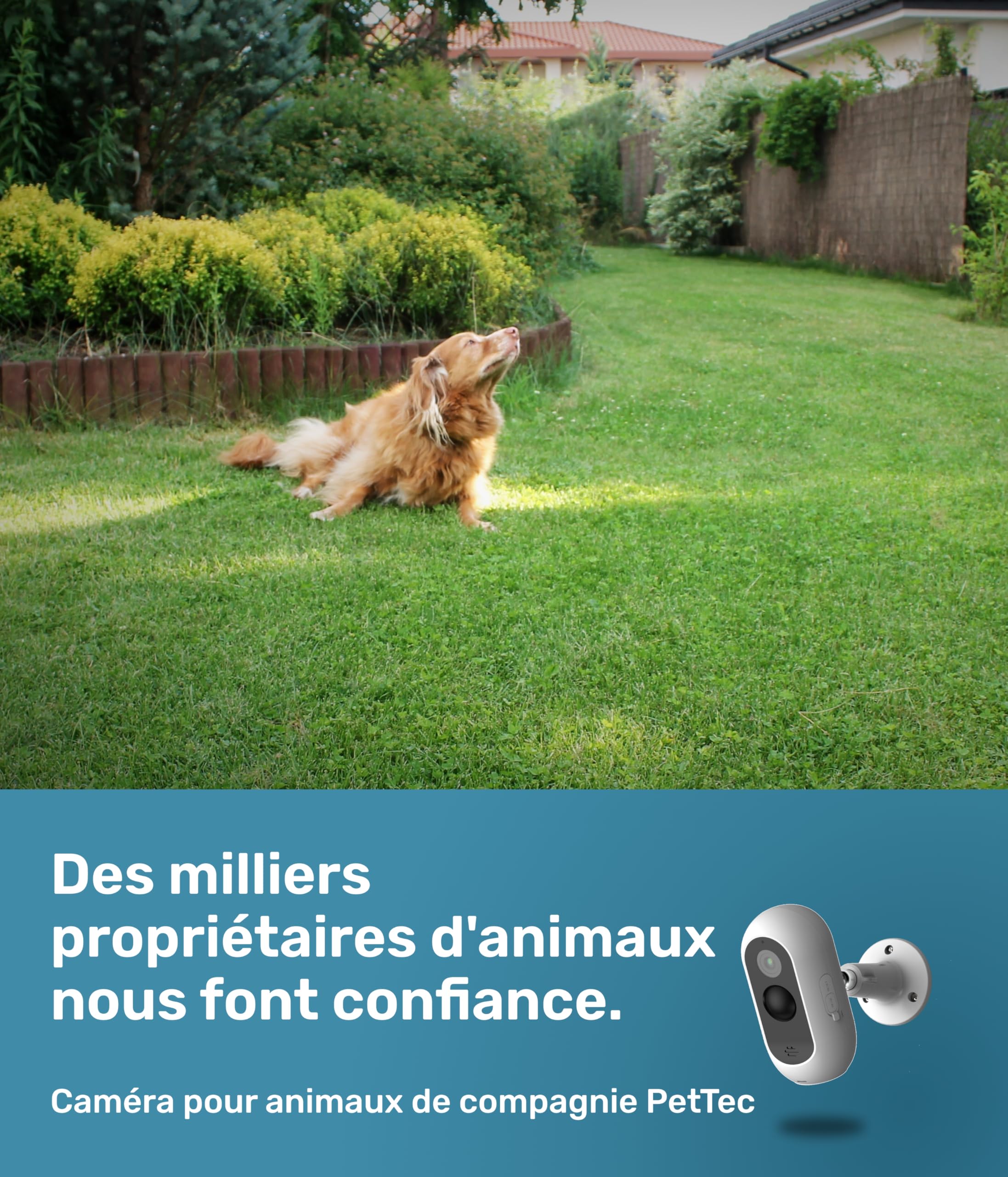 PetTec Caméra sans Fil pour Animaux de Compagnie Lot de 2 avec Application Détection de Mouvement Intérieur Extérieur