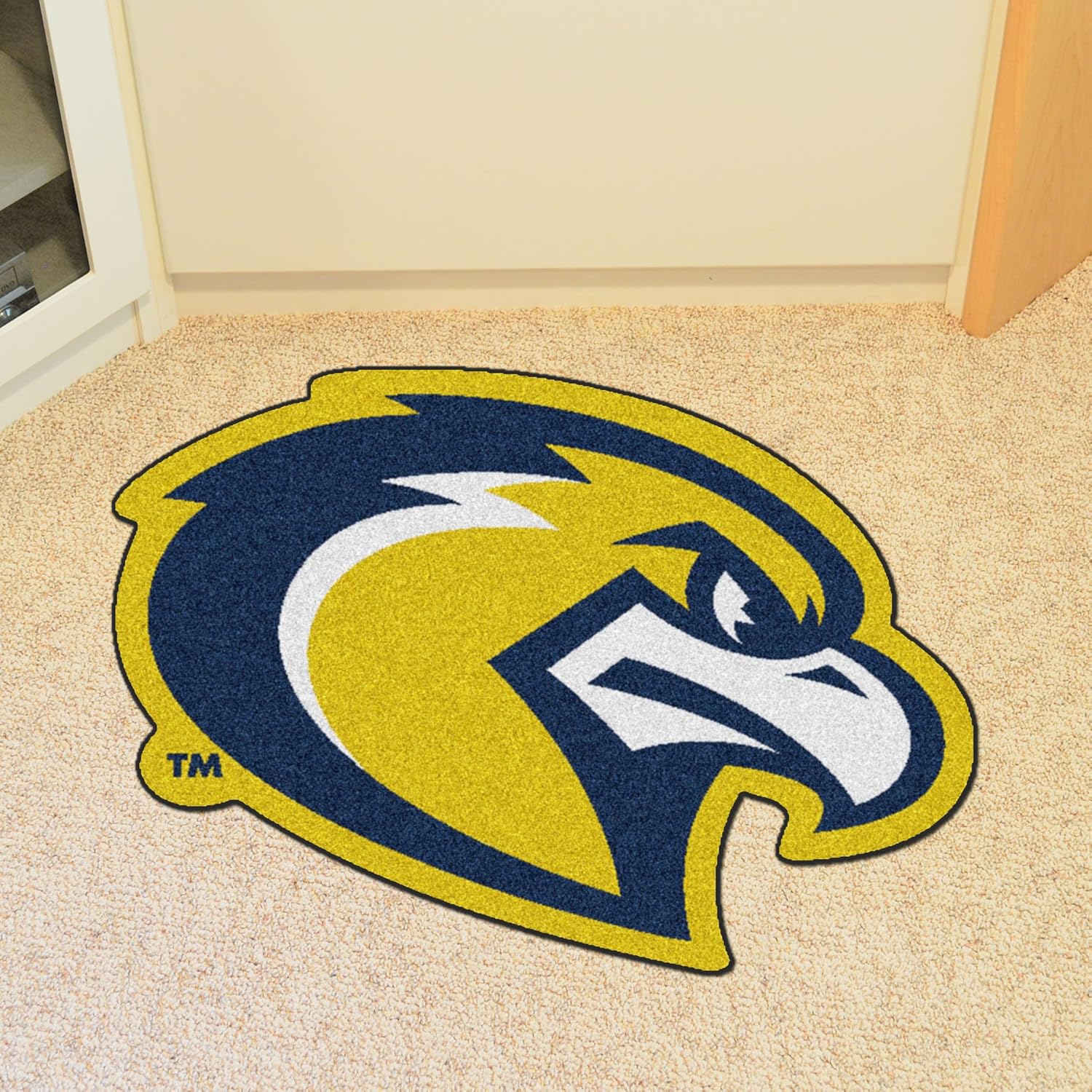 FANMATS Marquette Sports Team Logo Home Indoor Kitchen Floor Carpet Rug 9515 Mascot Mat