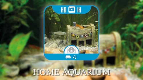 Home Aquarium [1+ hour video & audio]