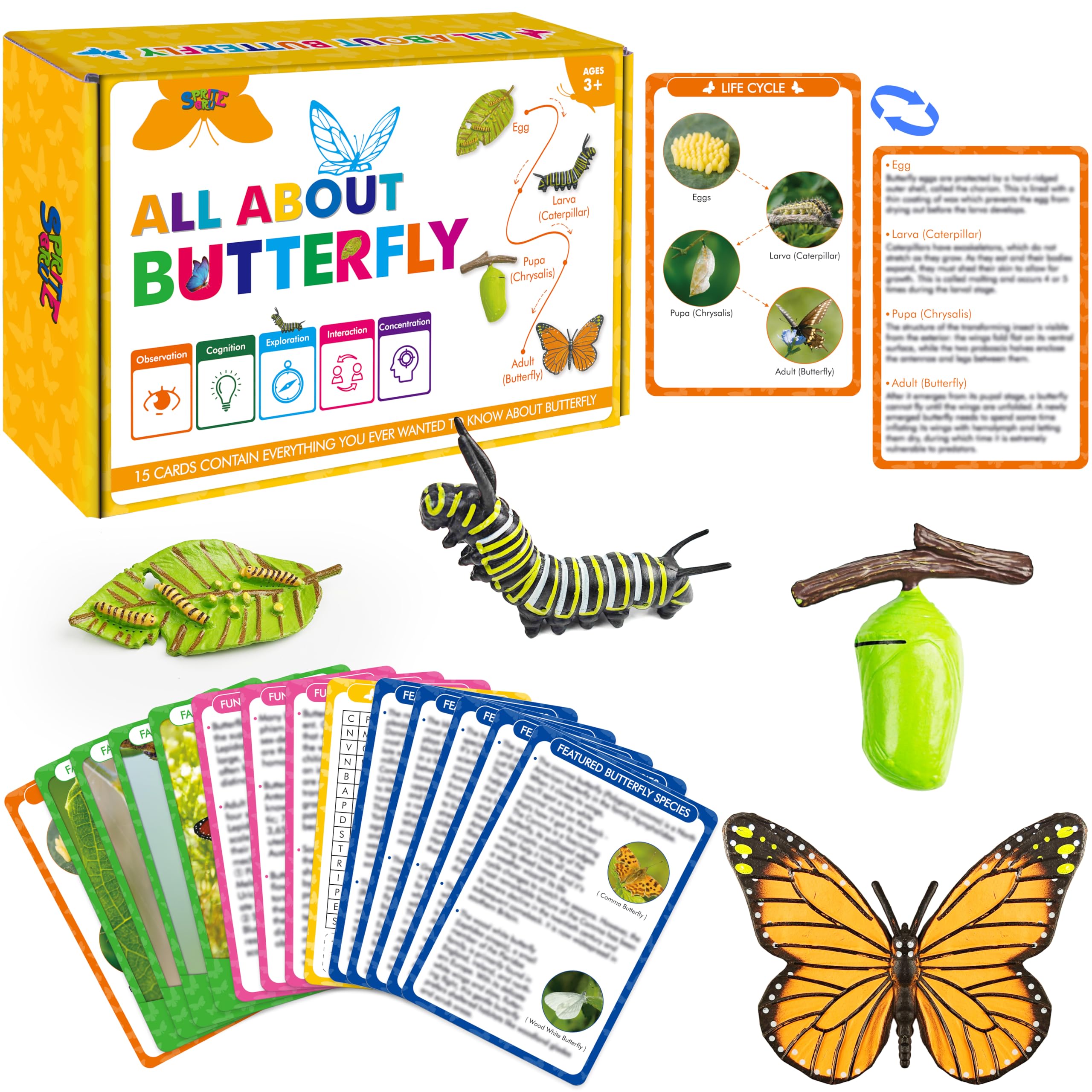 Photo 1 of 15 Butterfly Life Circle Flashcards with 4 Plastic Figurines, Butterflies Introduction Cards Plastic Insects Egg to Butterfly Kit Toy for Kids, Adults, Animal Lovers