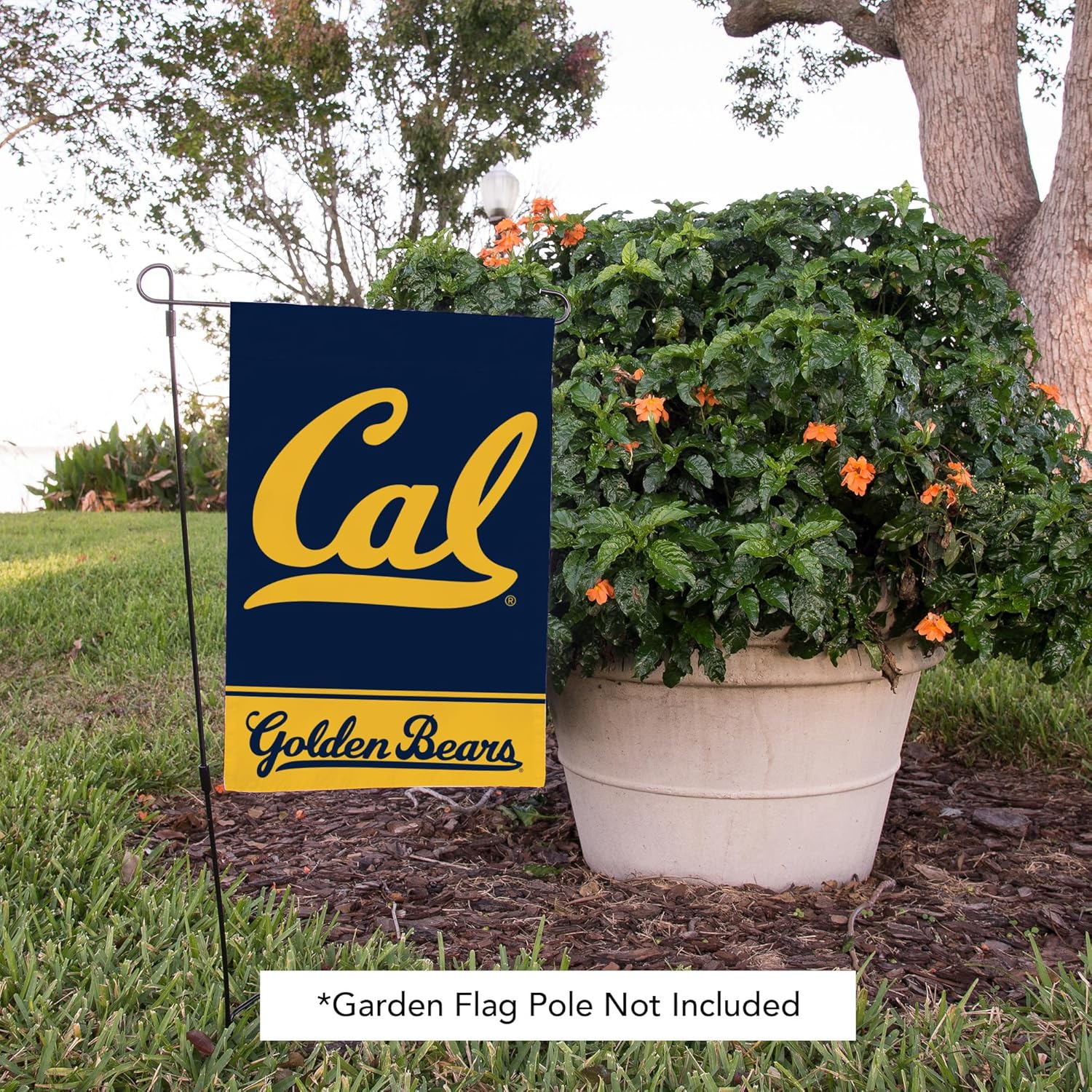 Desert Cactus University of California Berkeley UCB Garden Flag – 19 x 12 Inch Golden Bears Banner, for Outdoor Display and Events (Design A) - Image 6