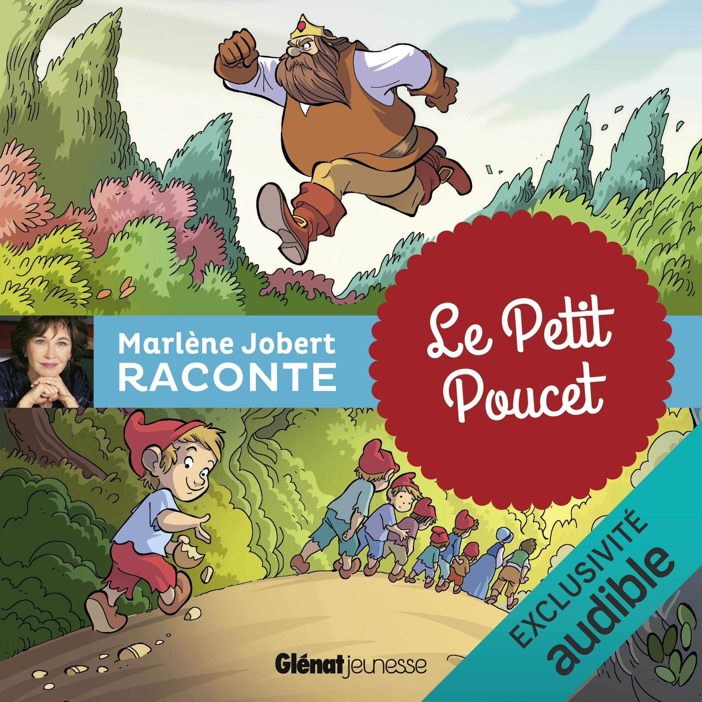 Cover art for Le petit poucet