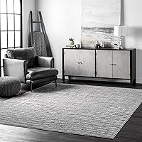 Algopix Similar Product 5 - nuLOOM 6 7 x 9 Performance Indoor