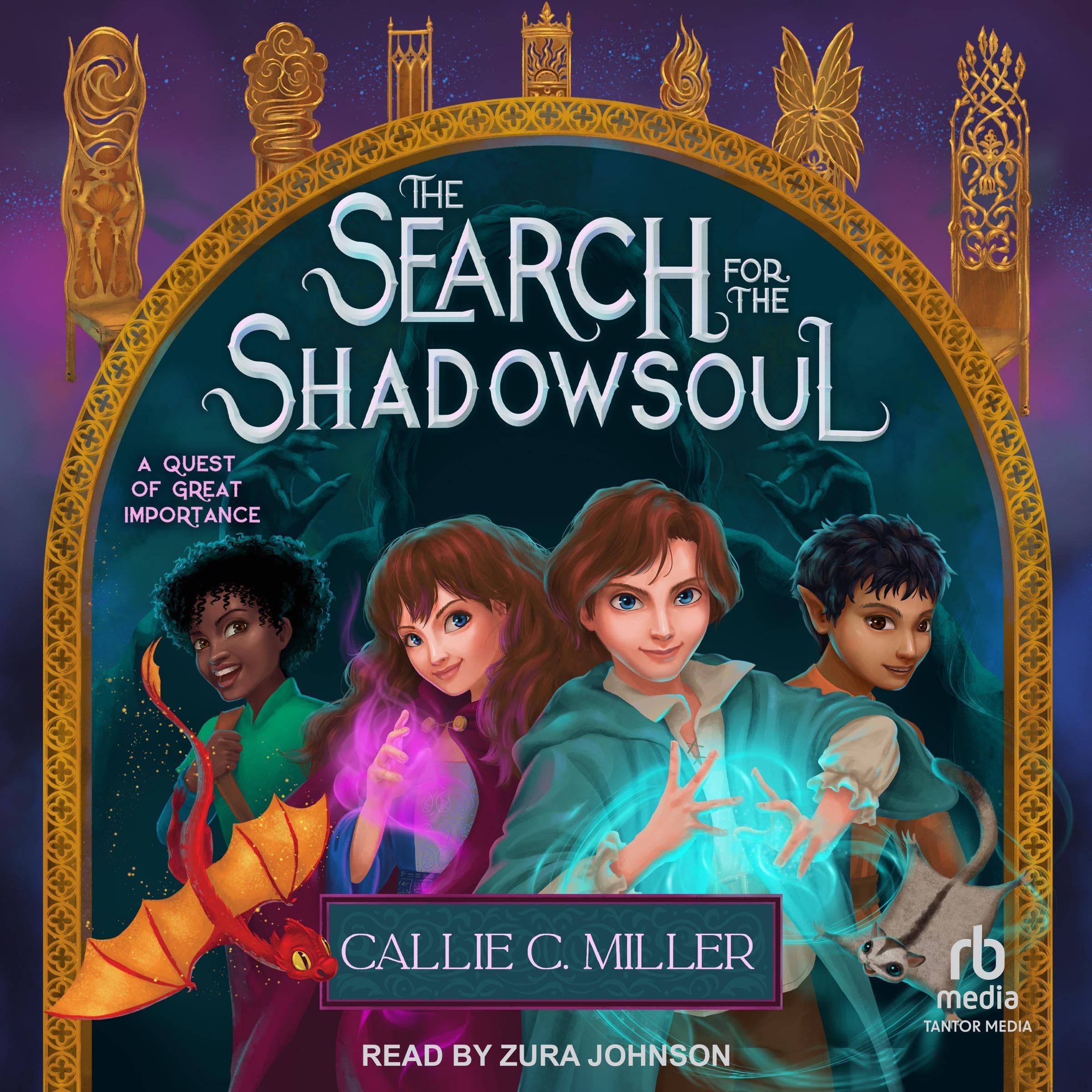 Cover art for The Search for the Shadowsoul