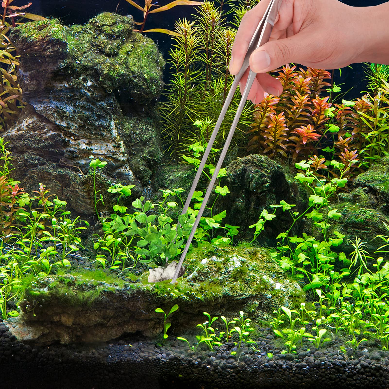 Aquascape Tools Kit con forbici per acquario, pinzette dritte e curve, spatola per acquario, set di strumenti per la pulizia del serbatoio dei pesci (Sliver)