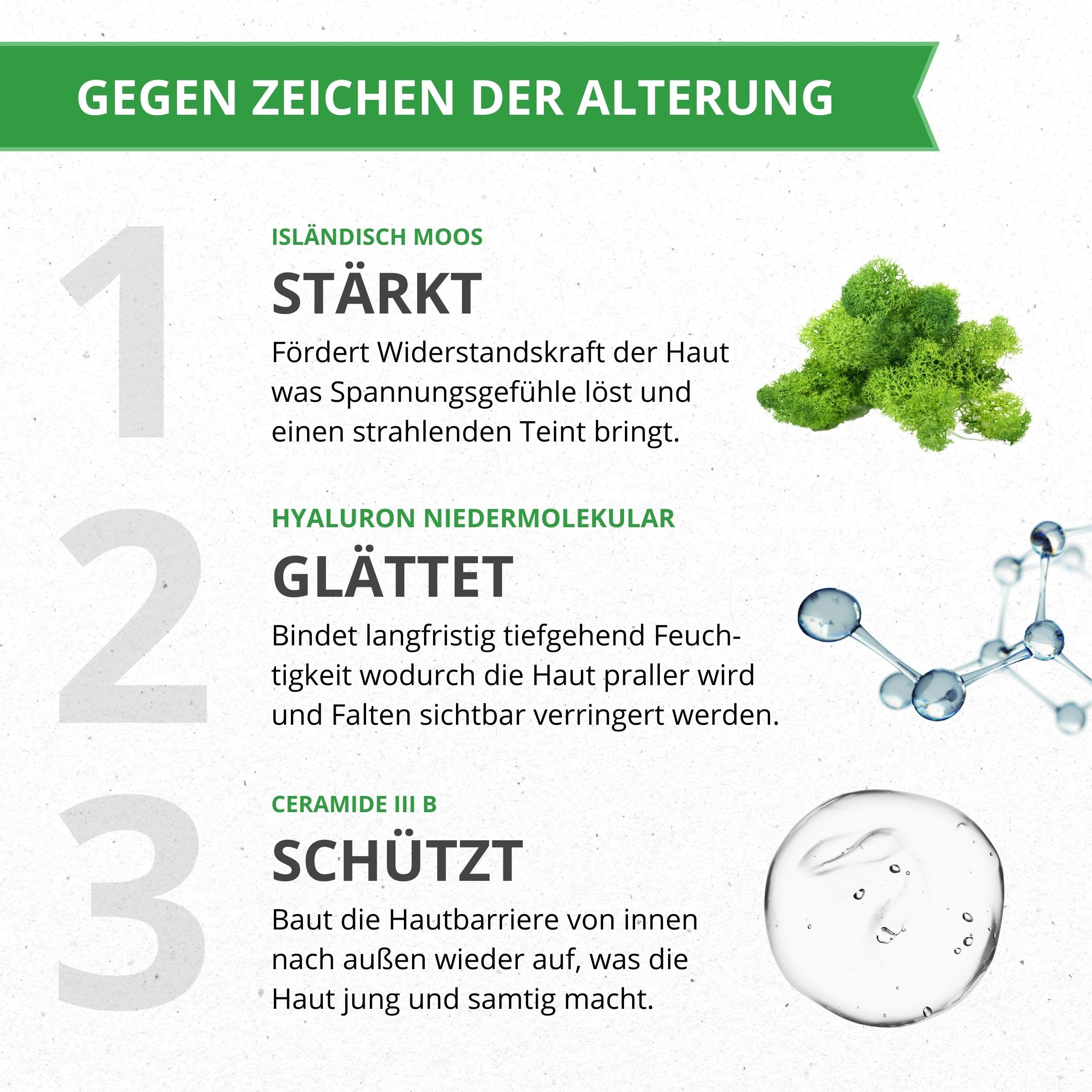 BIO Moossalbe gegen Falten für sensible Haut, 4-facher Testsieger F.A.Z. & mehr - Creme mit 4% Isländisch Moos, 1% Hyaluron, Ceramide - Made in Germany, vegan, tierleidfrei, nachhaltig, 60ml