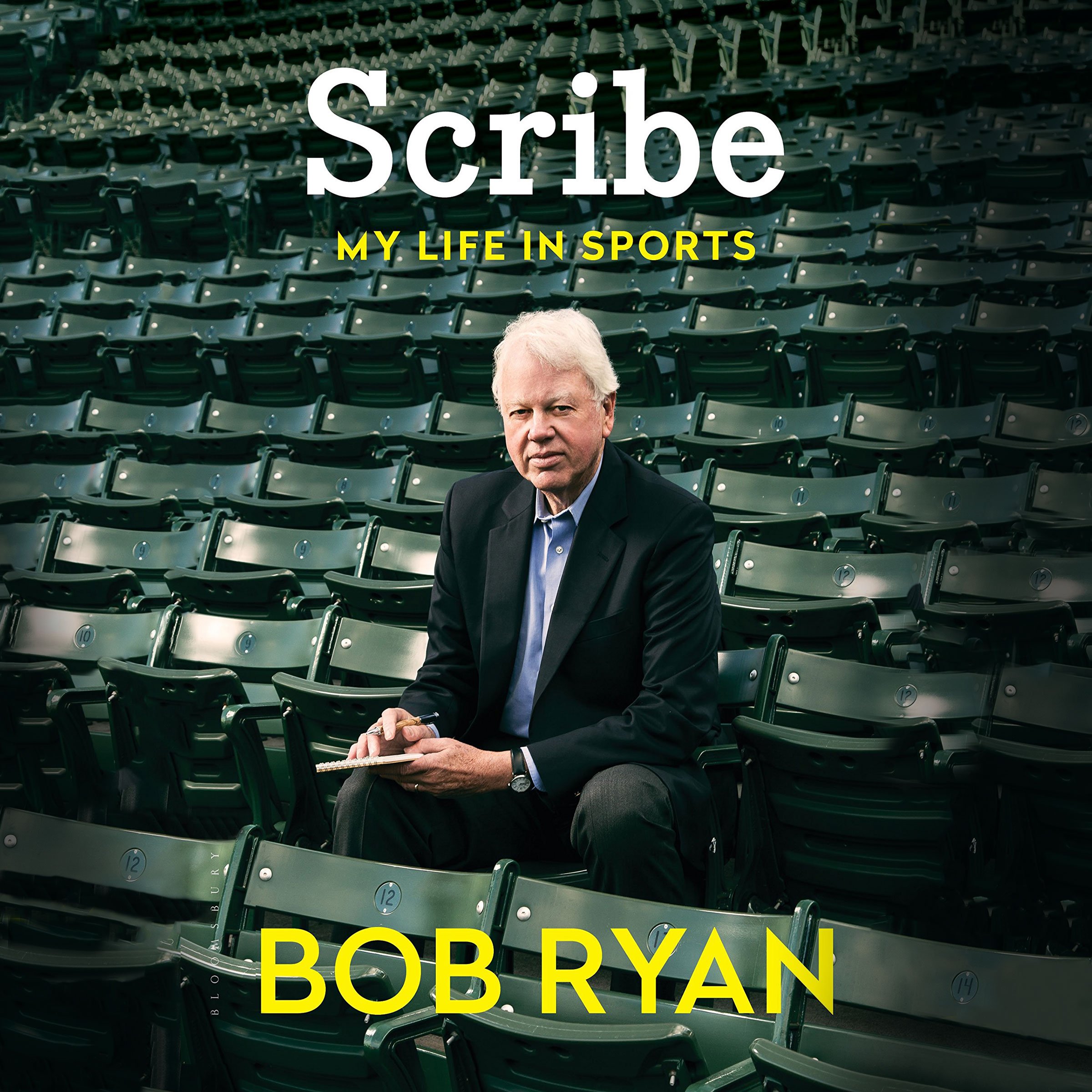 Cover art for Scribe
