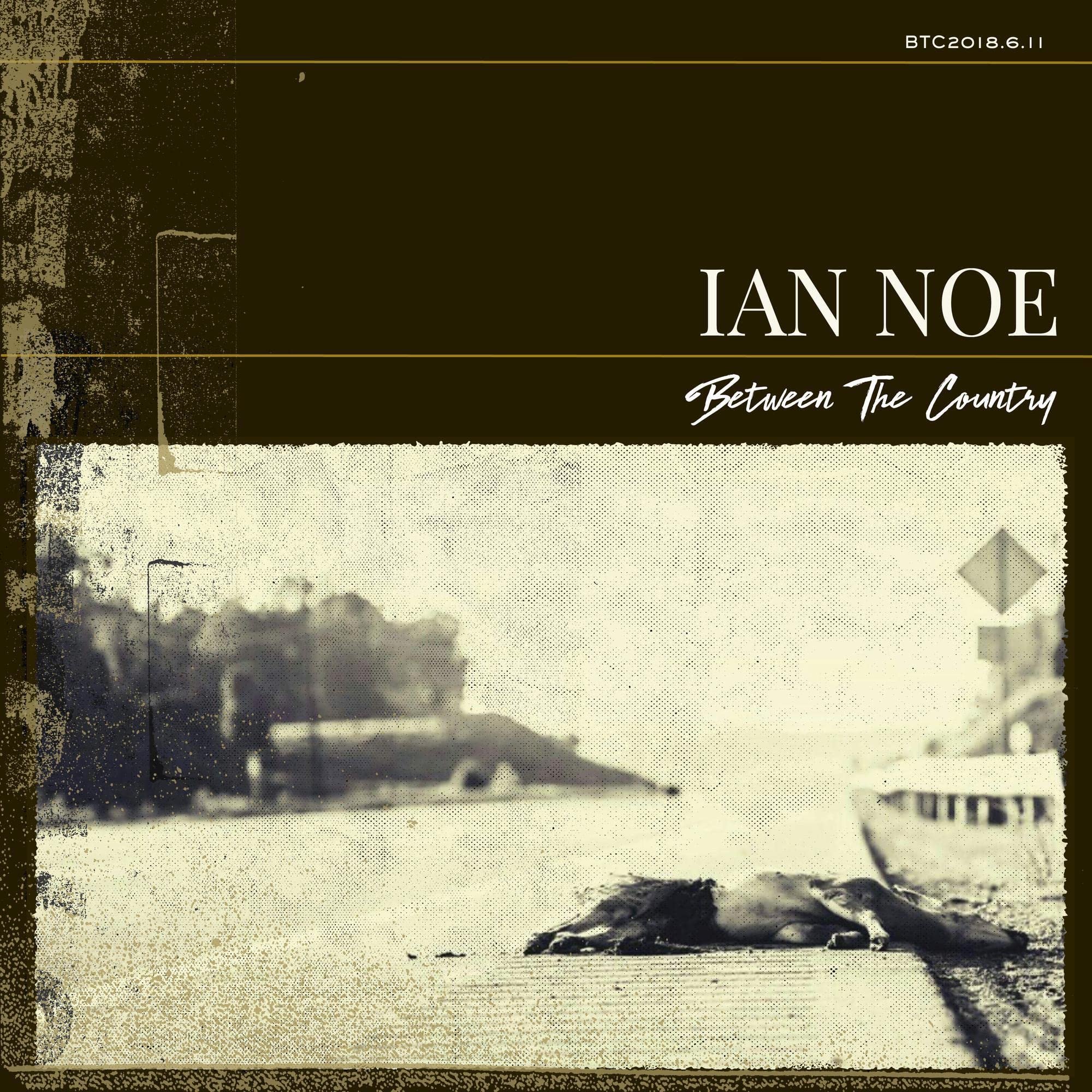 Between The Country [VINYL]