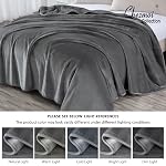 Chezmoi Collection - Oversized Korean Style Faux Mink Weighted Blanket 750 GSM Soft Silky Thick Plush Raschel Mink Blanket, 92 x 106 Inches King Size, Solid Grey