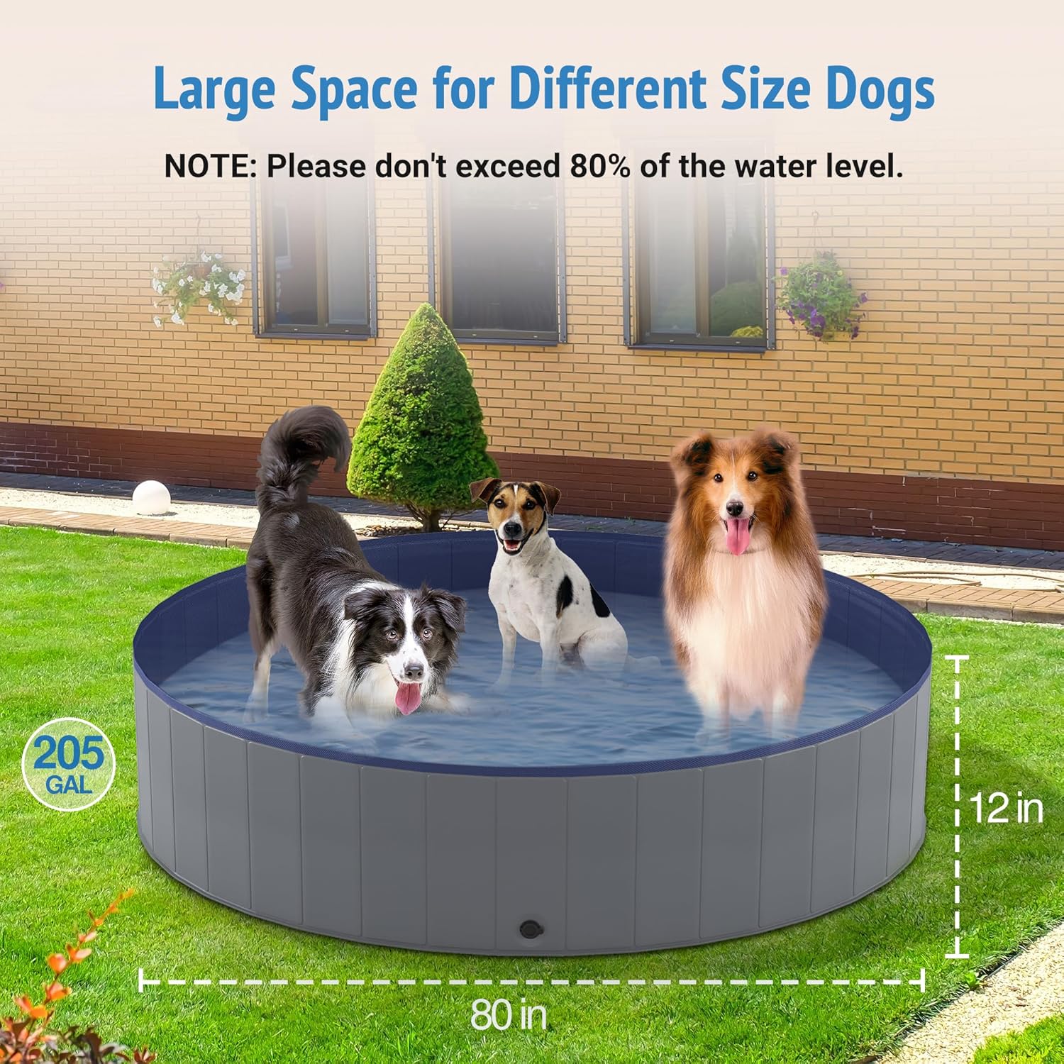Niubya Foldable Dog Pool, Collapsible Hard Plastic Dog Swimming Pool, Portable Bath Tub for Pets Dogs and Cats, Pet Wading Pool for Indoor and Outdoor, 80 x 12 Inches