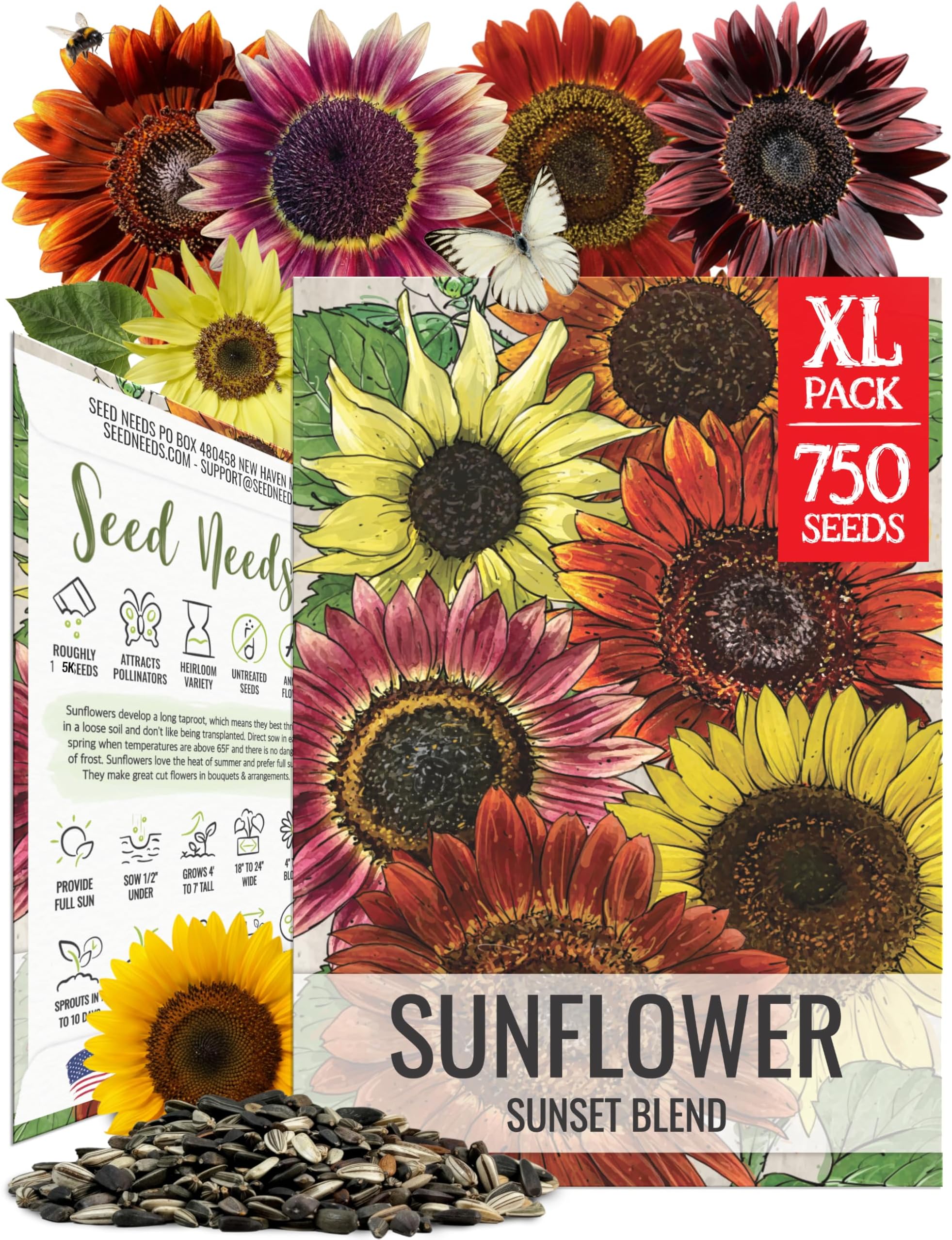 Seed Needs Sunflower Seeds to Plant Sunset Blend 7 Varieties Mix | 750+ Seeds Helianthus Annuus Heirloom Open Pollinated XL Packet | Multicolored Sun Flowers Garden Favorite