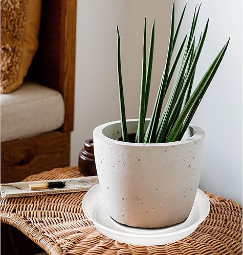 Miniatura 25 de Paquete de 6 platos para plantas, bandeja goteo agua, 4, 5, 6, 7, 8, 9, 10, 11, 12, 13, 15, 17, 19 pulgadas, resistentes, interior, exterior, base