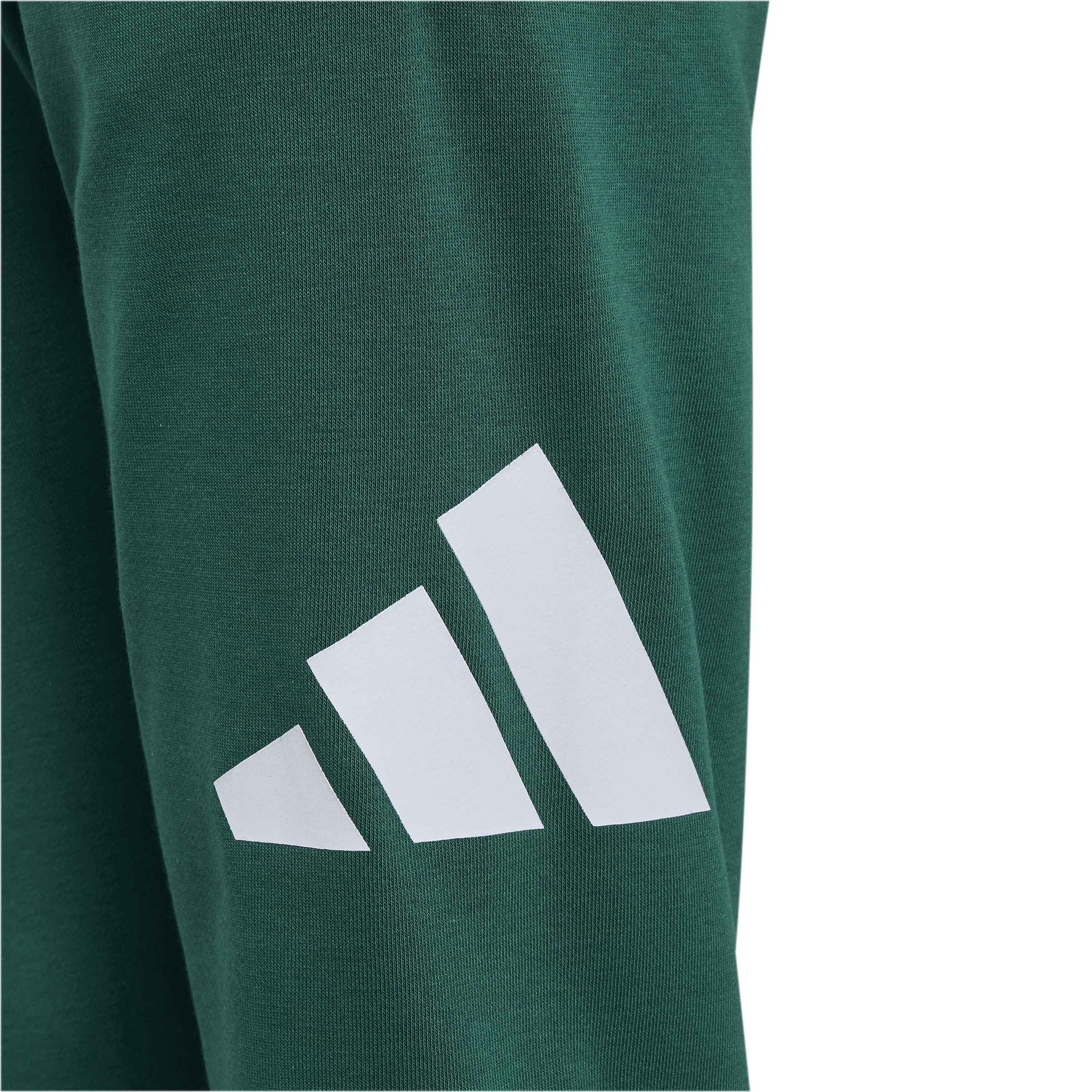 adidas Uniseks - dzieci Essentials Big Logo Pants, collegiate green/white, 9-10 Years