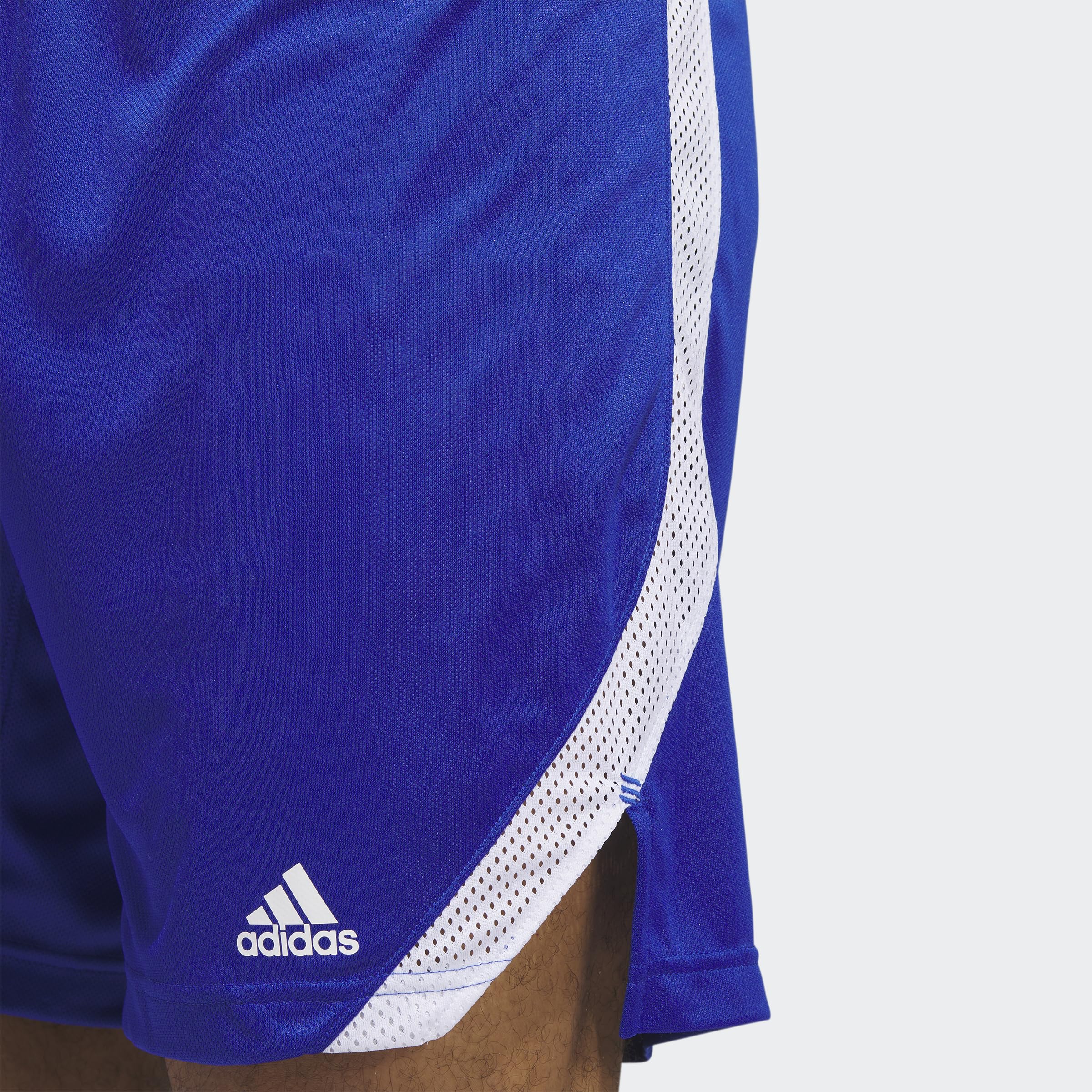 adidas Icon Squad Shorts - Szorty casualowe Mężczyźni
