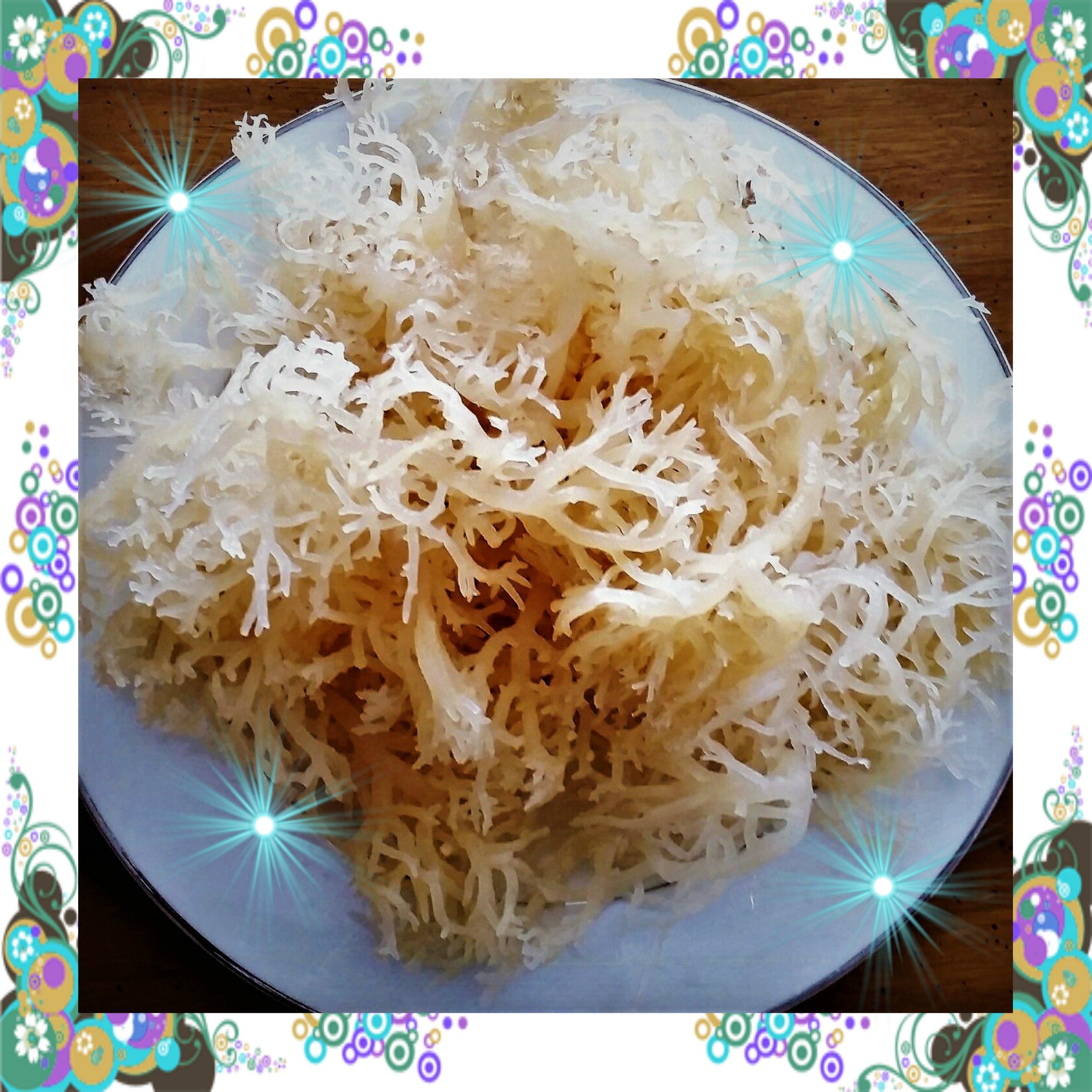 シーモス100%天然(野生)DR SEBI アイリッシュモス コンドラスクリスパス