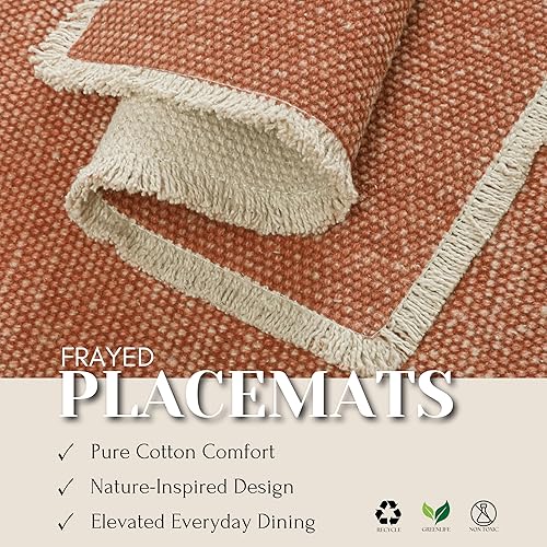 Miniatura 8 de Hausattire Juego de 4 manteles individuales de algodón deshilachado de 14 x 14 pulgadas, manteles individuales lavables de cosecha rústica, bohemio,