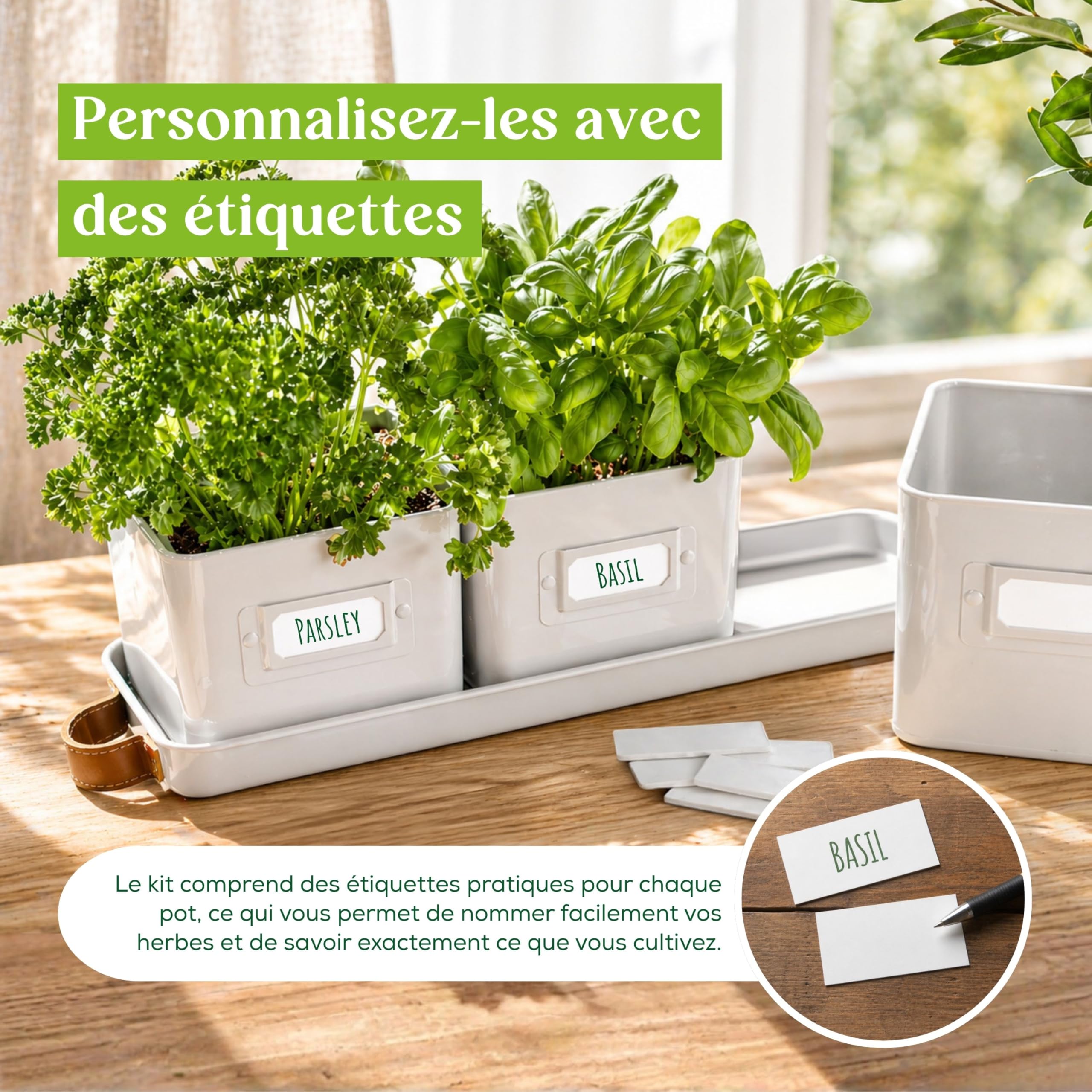 Green Thumbz Jardinière Herbes Aromatiques avec Poignée en Cuir - Idéal pour Basilic en Pot Herbes Aromatiques à Planter - avec Bac de Récupération et Trou de Drainage (Blanc)