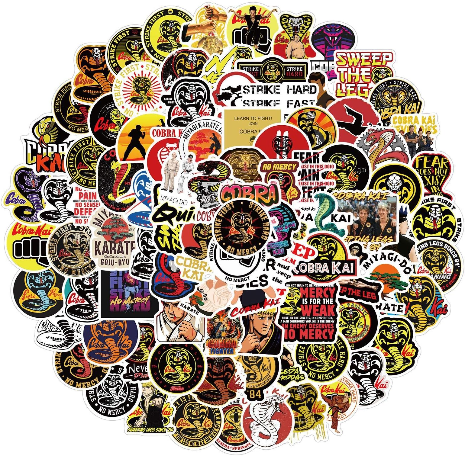 Stickers for Water Bottle Teen and Girl, Cute Waterproof Laptop Computer Skateboard Bicycle Luggage Guitar Travel Case Bike Decal (Cobra Kai)